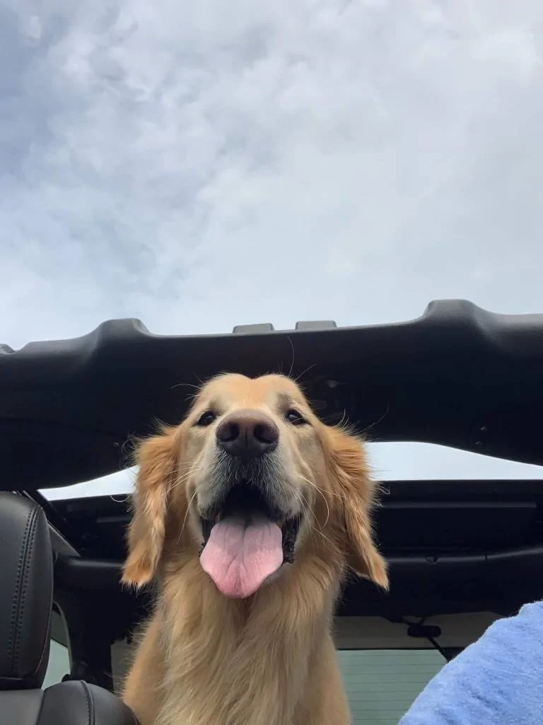 2025 4runner 6th gen Plog/Vlog of Travelling with Loved Ones - Win Your G900 Tripro Cabin Version IMG_9979