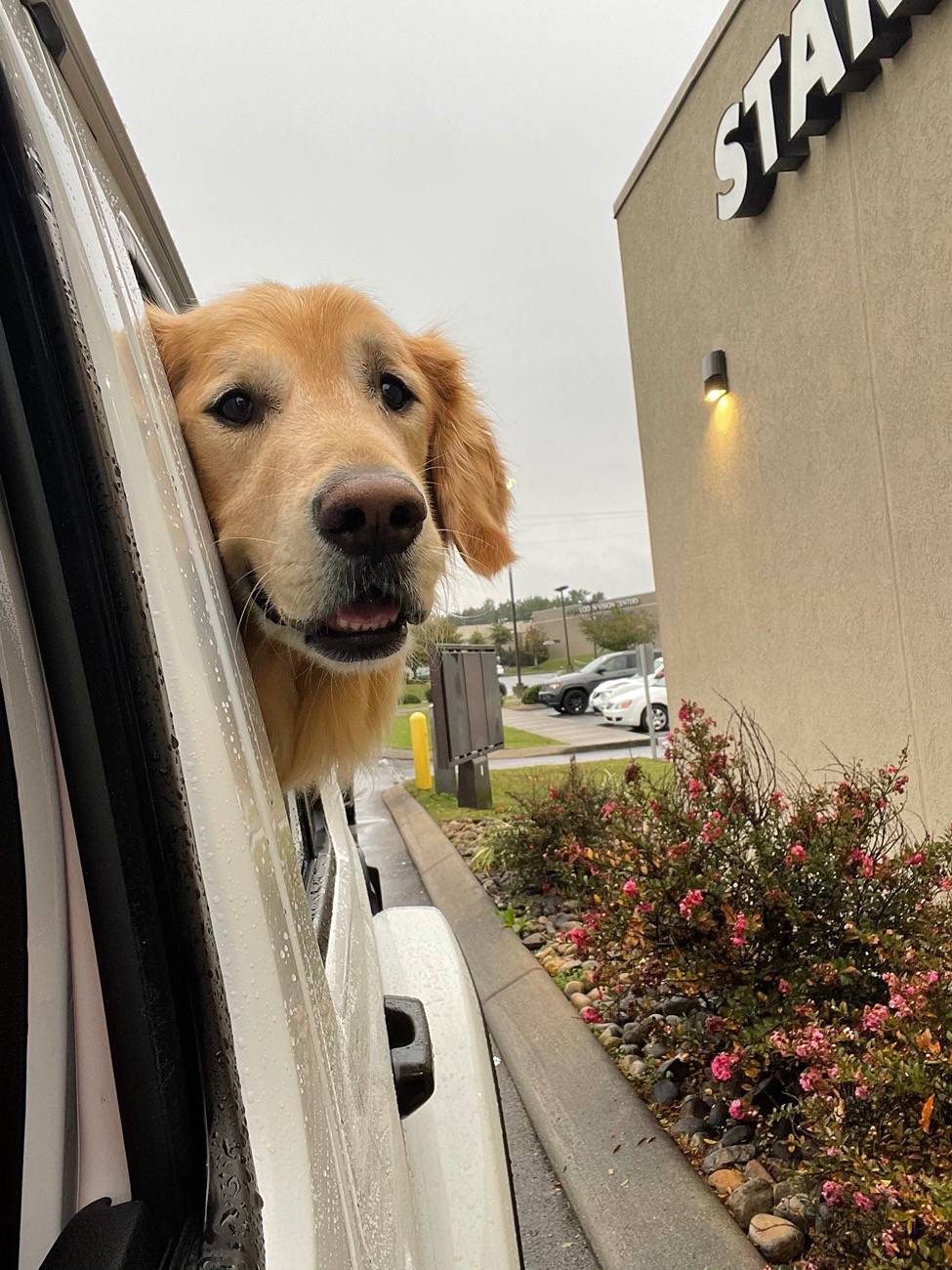 2025 4runner 6th gen Plog/Vlog of Travelling with Loved Ones - Win Your G900 Tripro Cabin Version IMG_0172