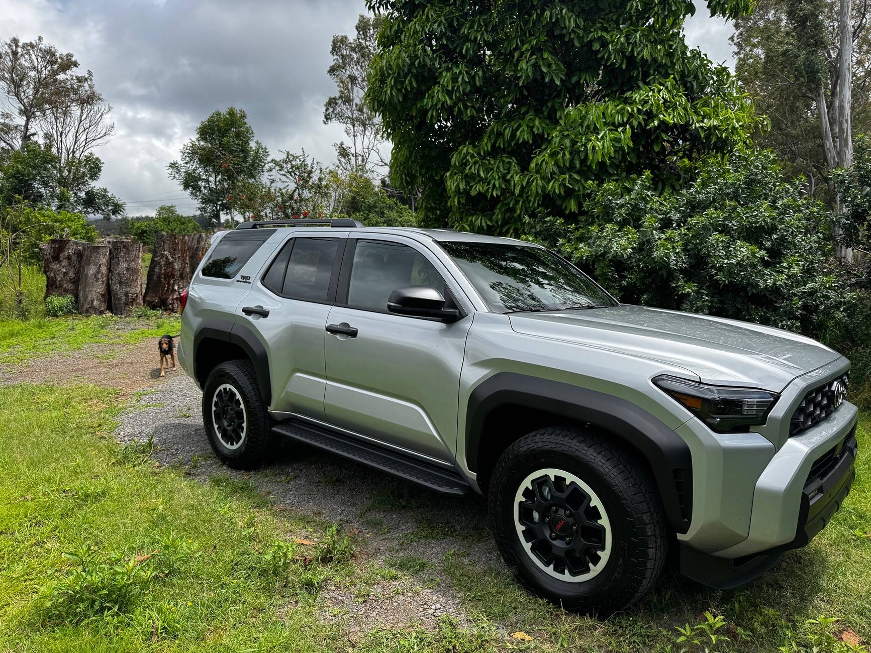 2025 4runner 6th gen 4Runner 6th Gen OWNERS Registry List & Stats [Add Yours]! 📊 IMG_4348
