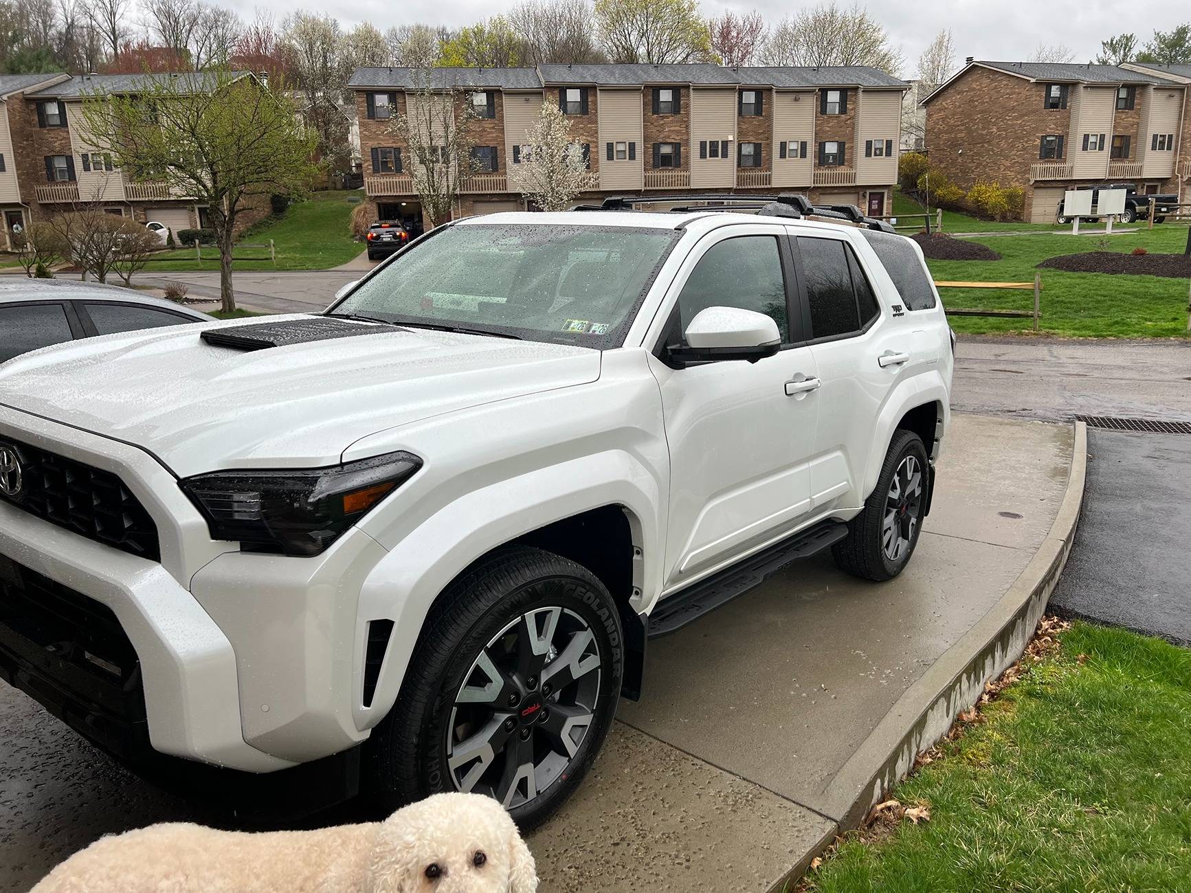 2025 4runner 6th gen 4Runner 6th Gen OWNERS Registry List & Stats [Add Yours]! 📊 IMG_9942
