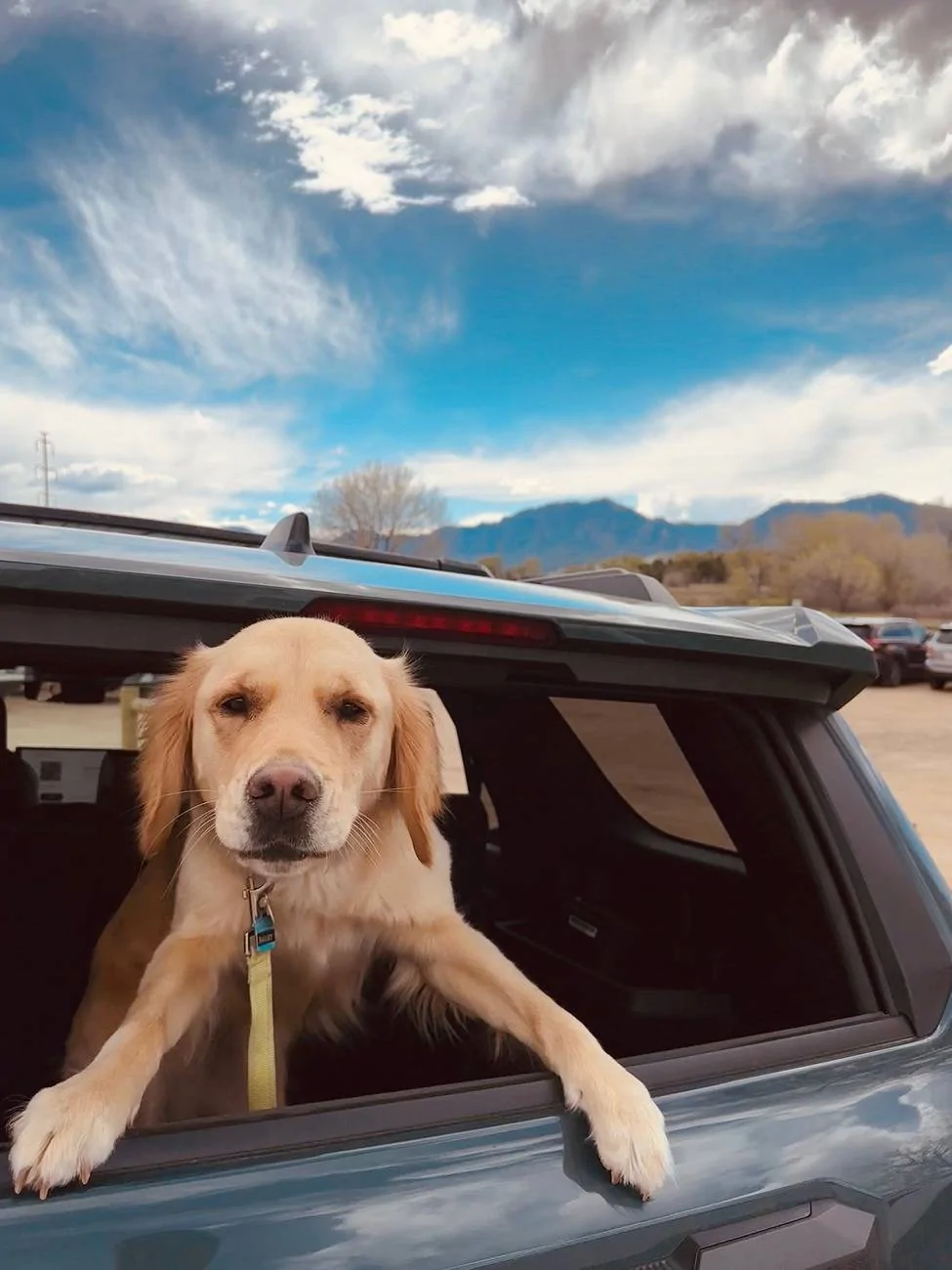 2025 Toyota 4runner Dogs / Pets ride-along photos thread! 🐾 IMG_8412