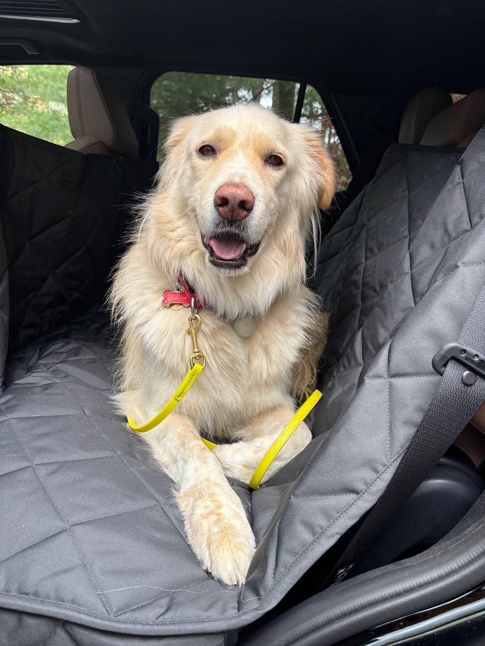 2025 4runner 6th gen Seat Covers for Dogs Recommendations? IMG_7284