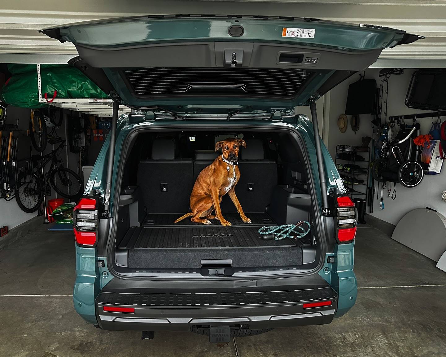 2025 4runner 6th gen EVEREST Photos 4Runner 6th Gen (2025+) 10001