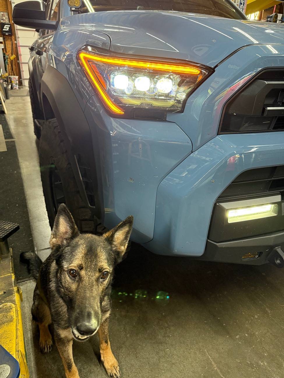 2025 Toyota 4runner Alpharex Nova Headlights installed, with lights ON photos IMG_8376