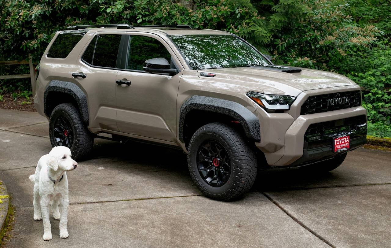2025 Toyota 4runner Are You a Cat Person or a Dog Person? Rey_Rey