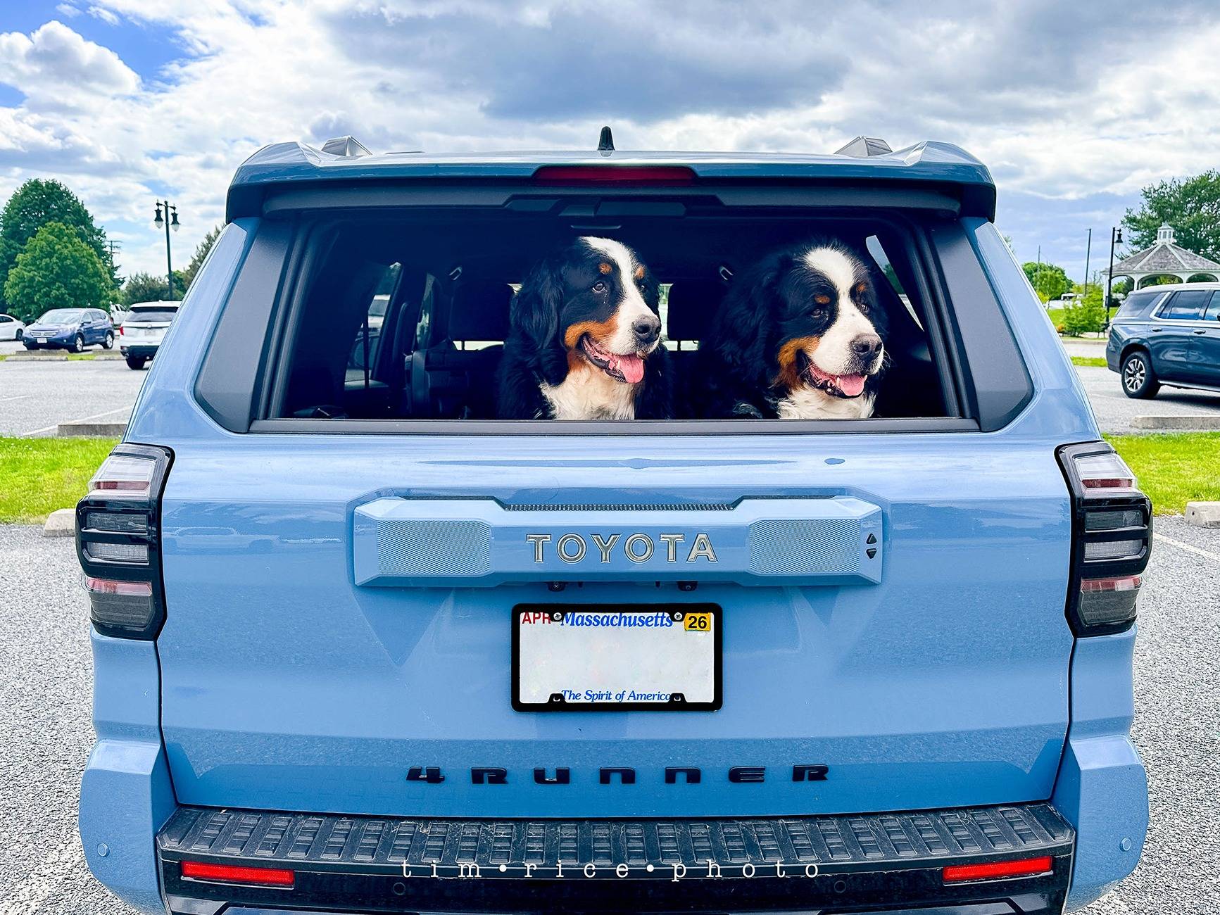 2025 Toyota 4runner Dogs / Pets ride-along photos thread! 🐾 230_5709 Dog Day---6317