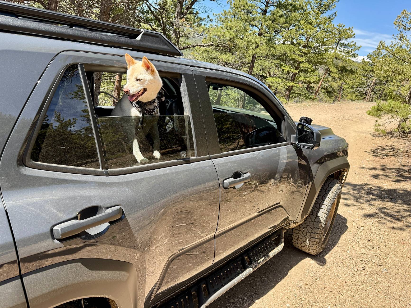 2025 4runner 6th gen RELLIMS build thread (Full List) - Off Road Premium (Underground) IMG_7723 3.JPG