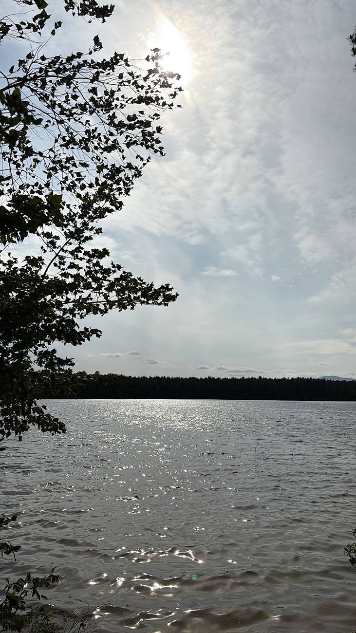 2025 4runner 6th gen Photos: First Camping Trip in the 4Runner C41134CA-0FF0-479A-9E75-E66938BC2794