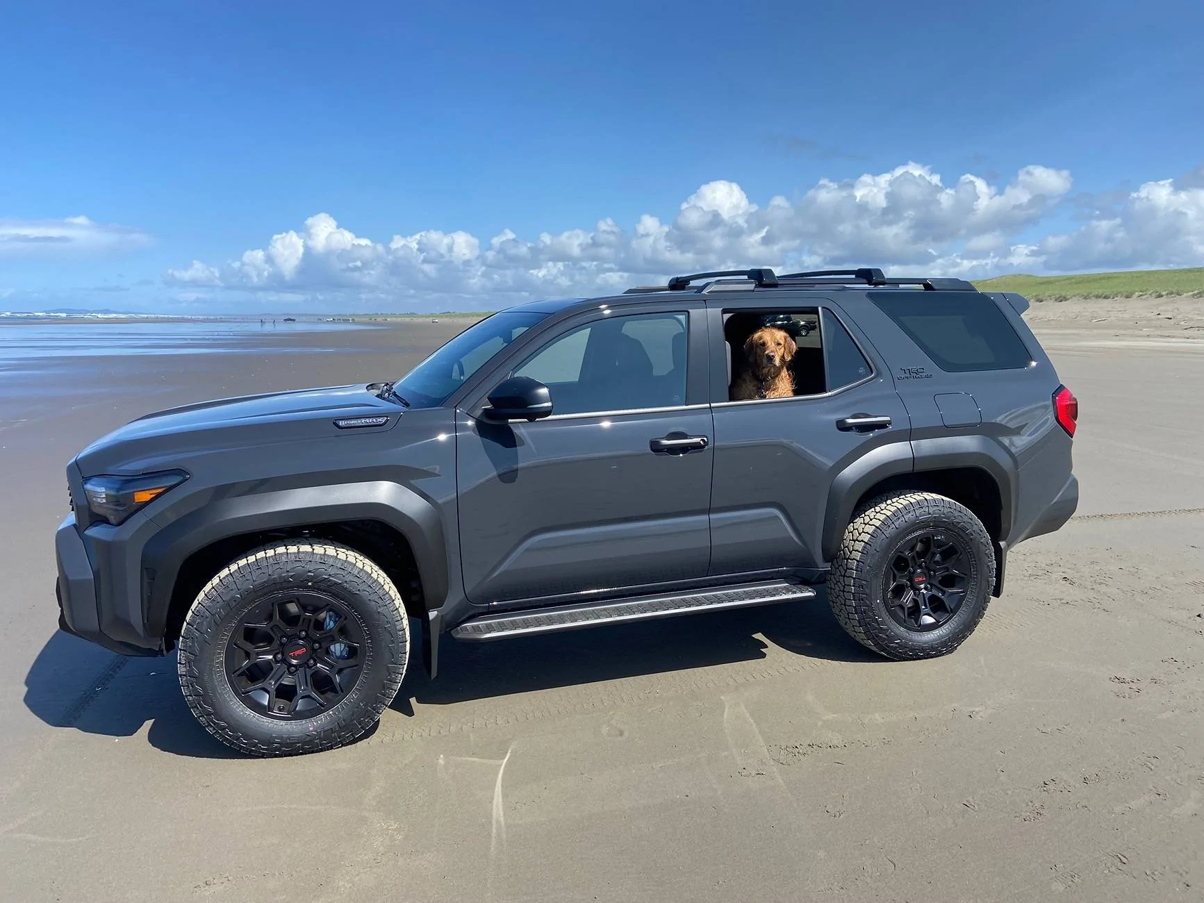 2025 Toyota 4runner Dogs / Pets ride-along photos thread! 🐾 IMG_3082