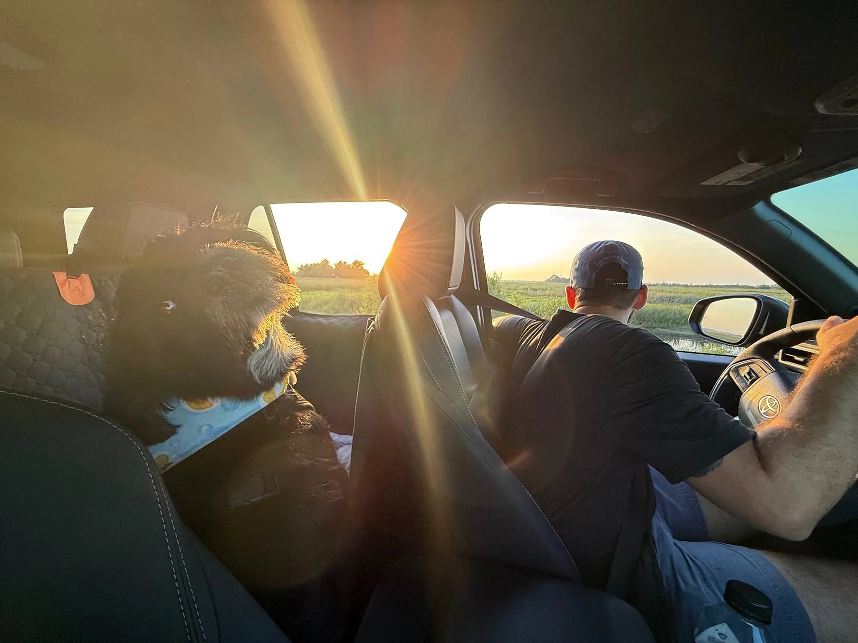 2025 Toyota 4runner Dogs / Pets ride-along photos thread! 🐾 IMG_8452