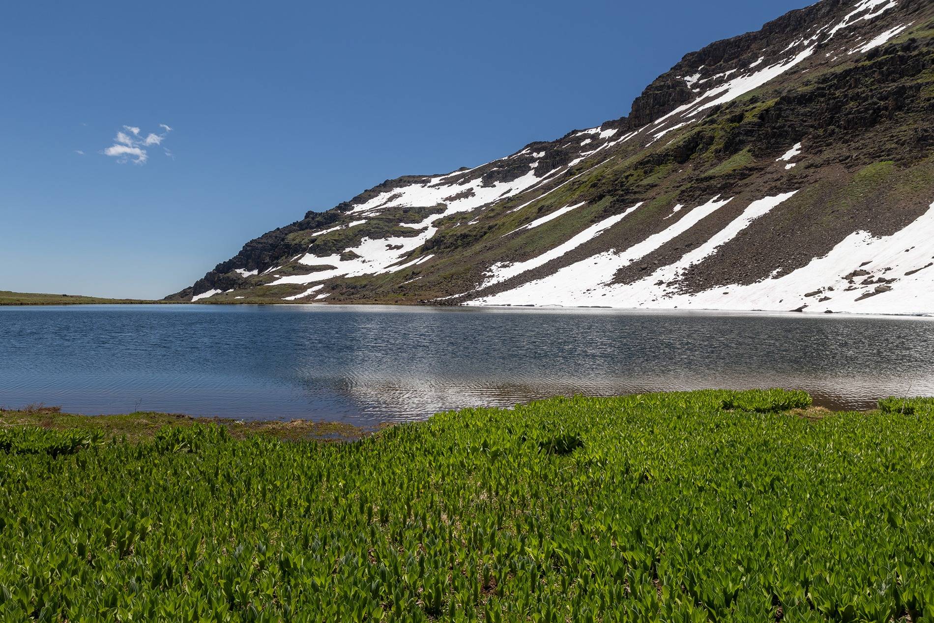 2025 4runner 6th gen ORP Hybrid in the Steens with FSR RTT & Kammok Awning _W0A6673