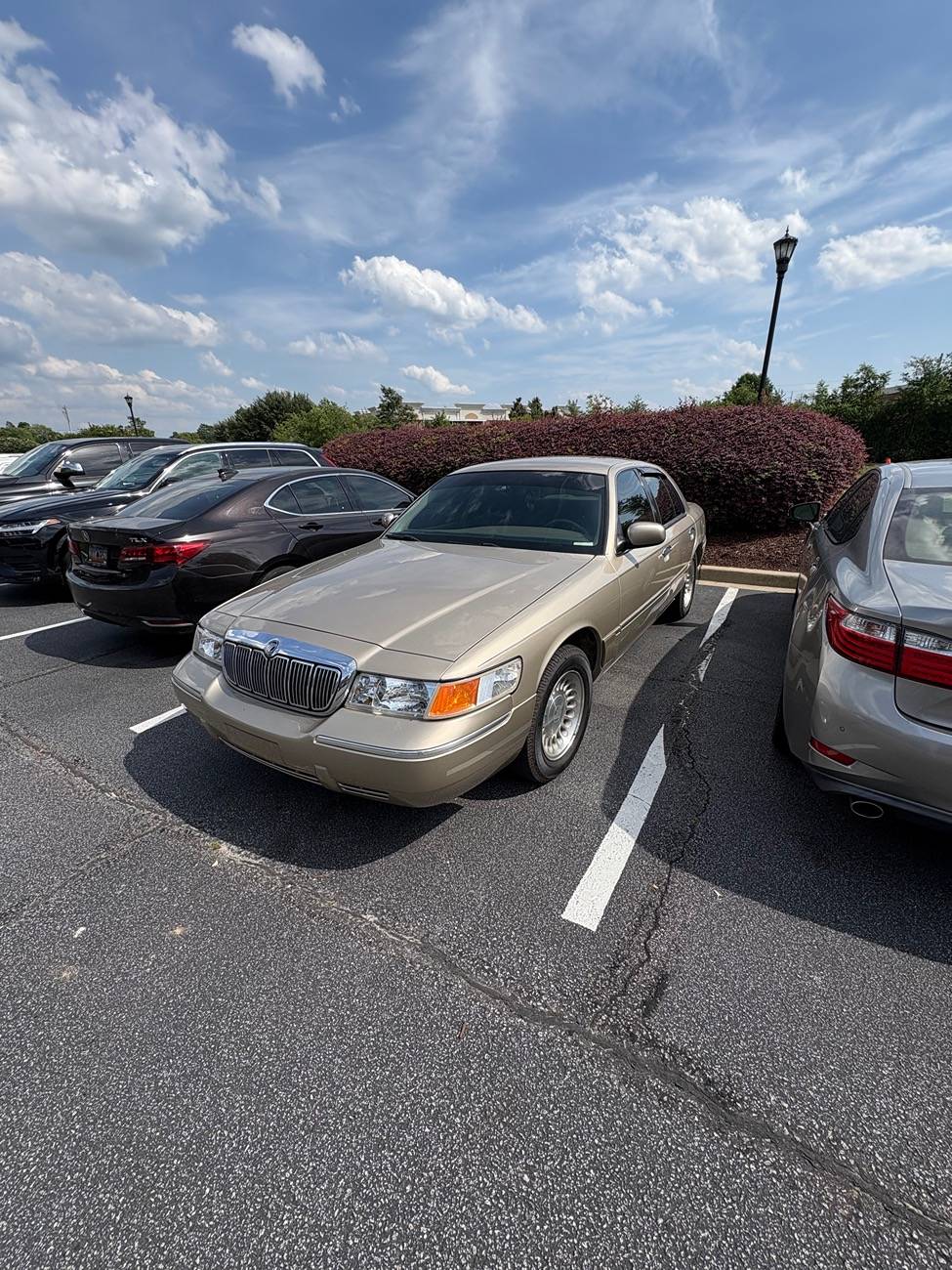 2025 4runner 6th gen What else do you drive? Post your other rides 1751502101167-7v