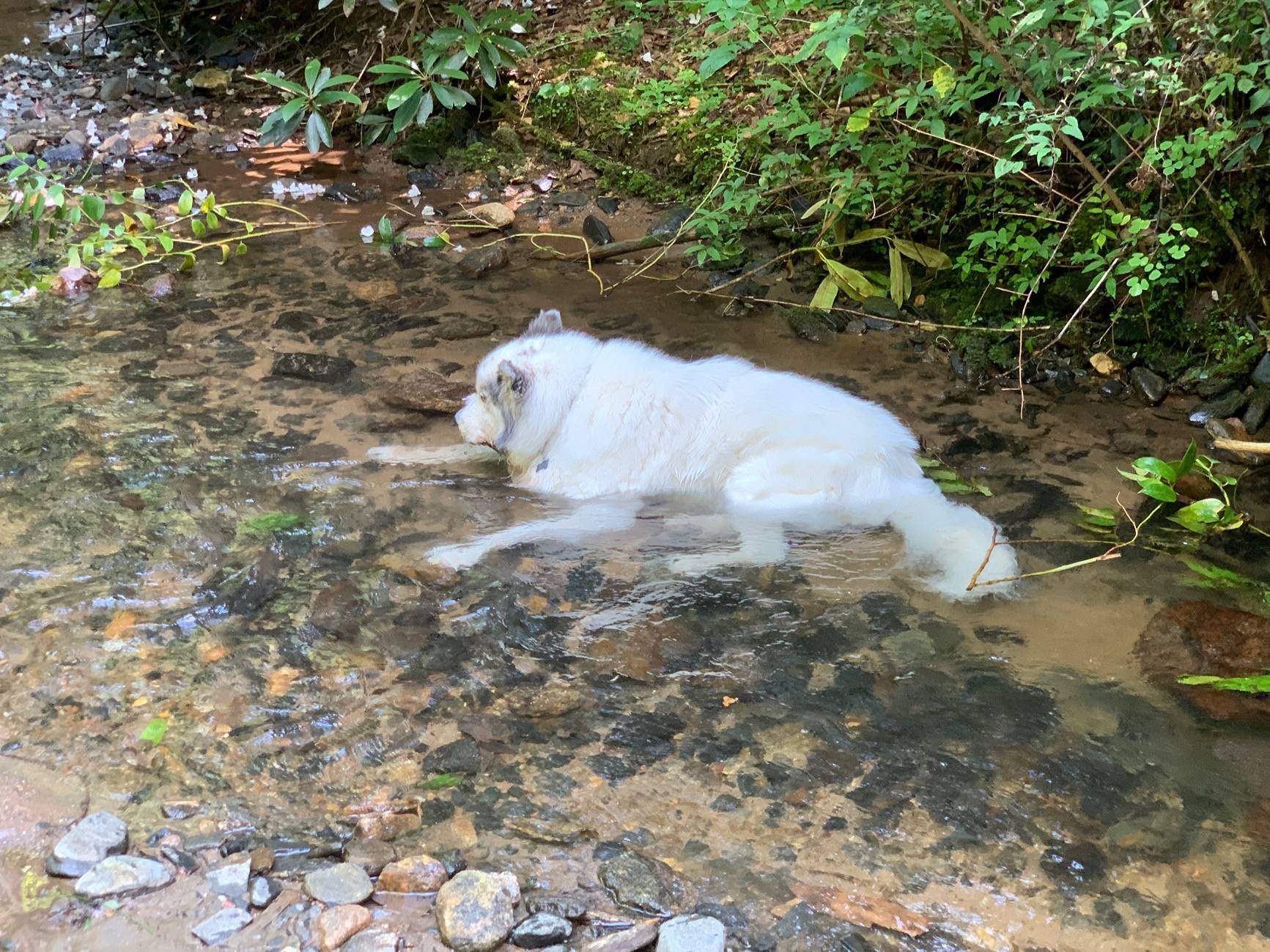 2025 4runner 6th gen 4th of July - Georgia Traverse Trip IMG_3161