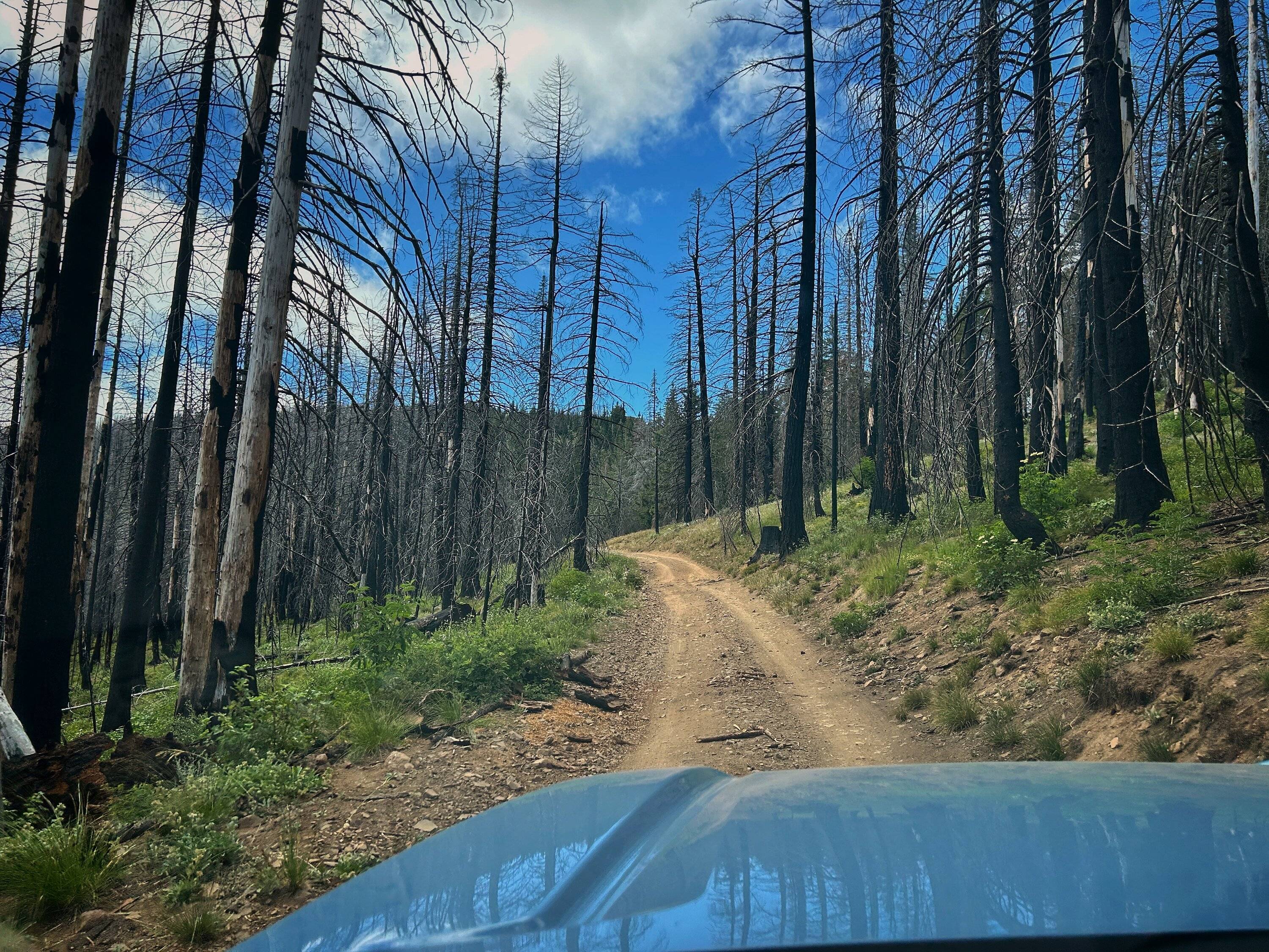 2025 4runner 6th gen Washington trail photos IMG_7387