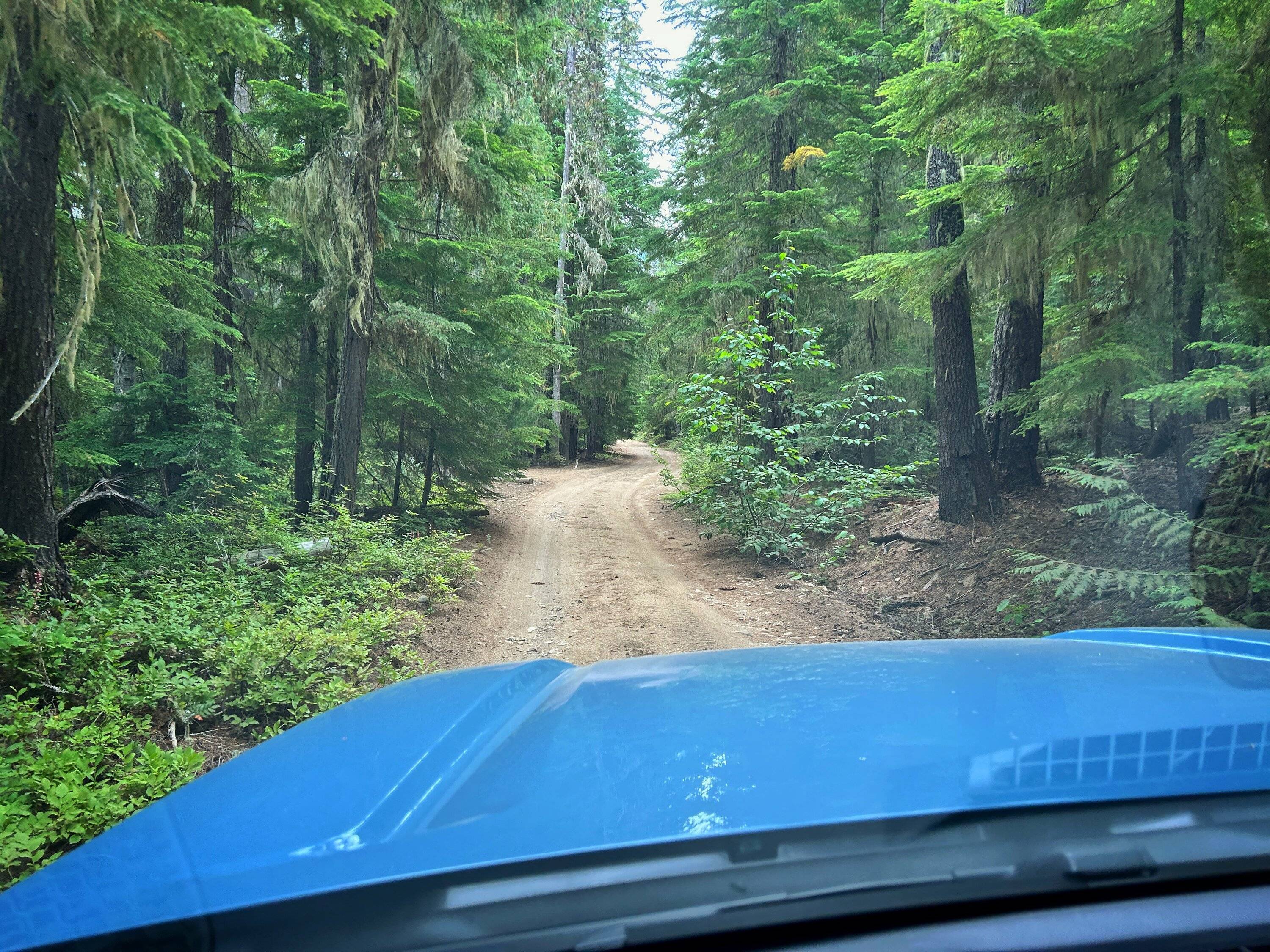 2025 4runner 6th gen Washington trail photos IMG_7385