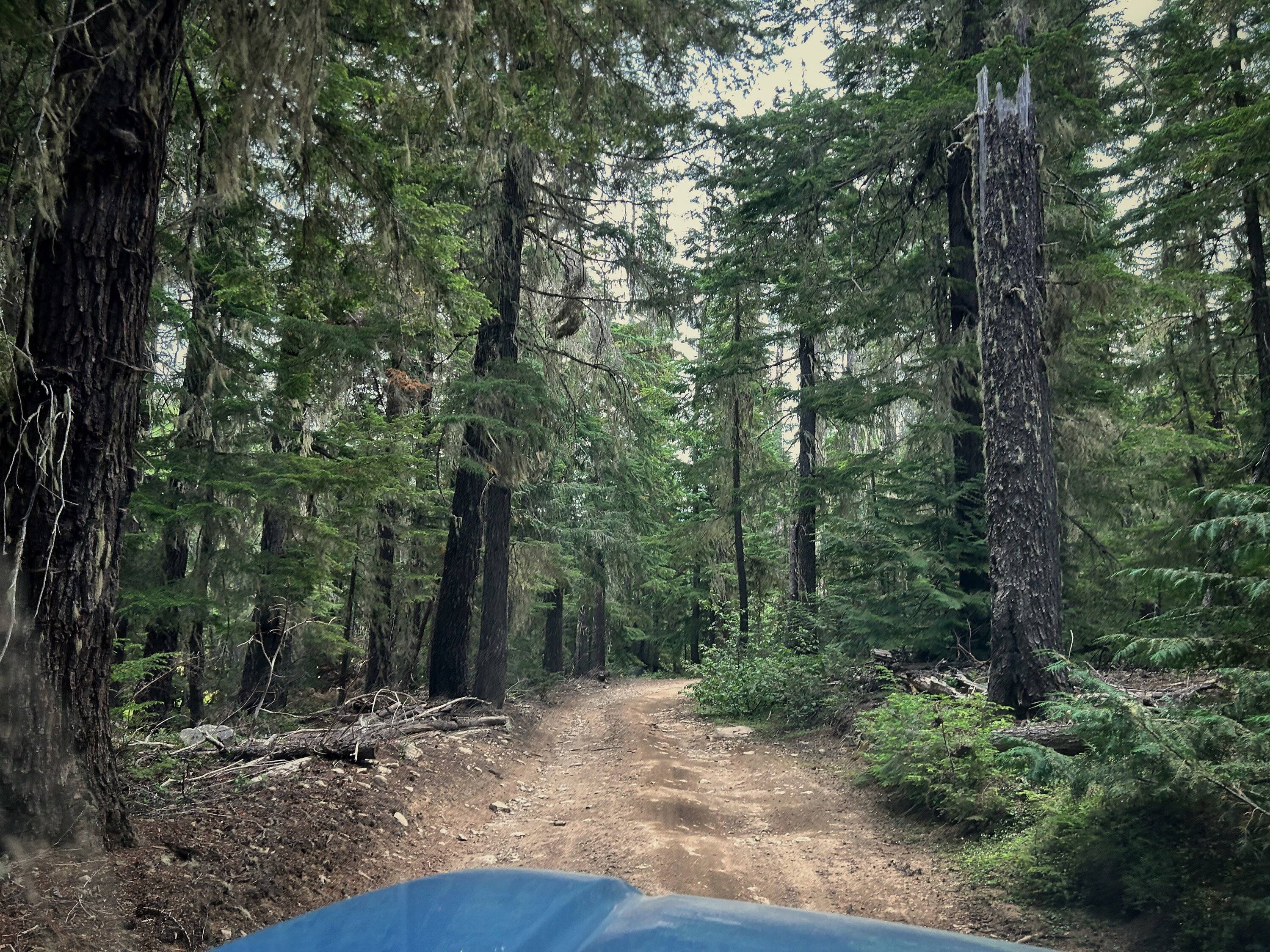 2025 4runner 6th gen Washington trail photos IMG_7384