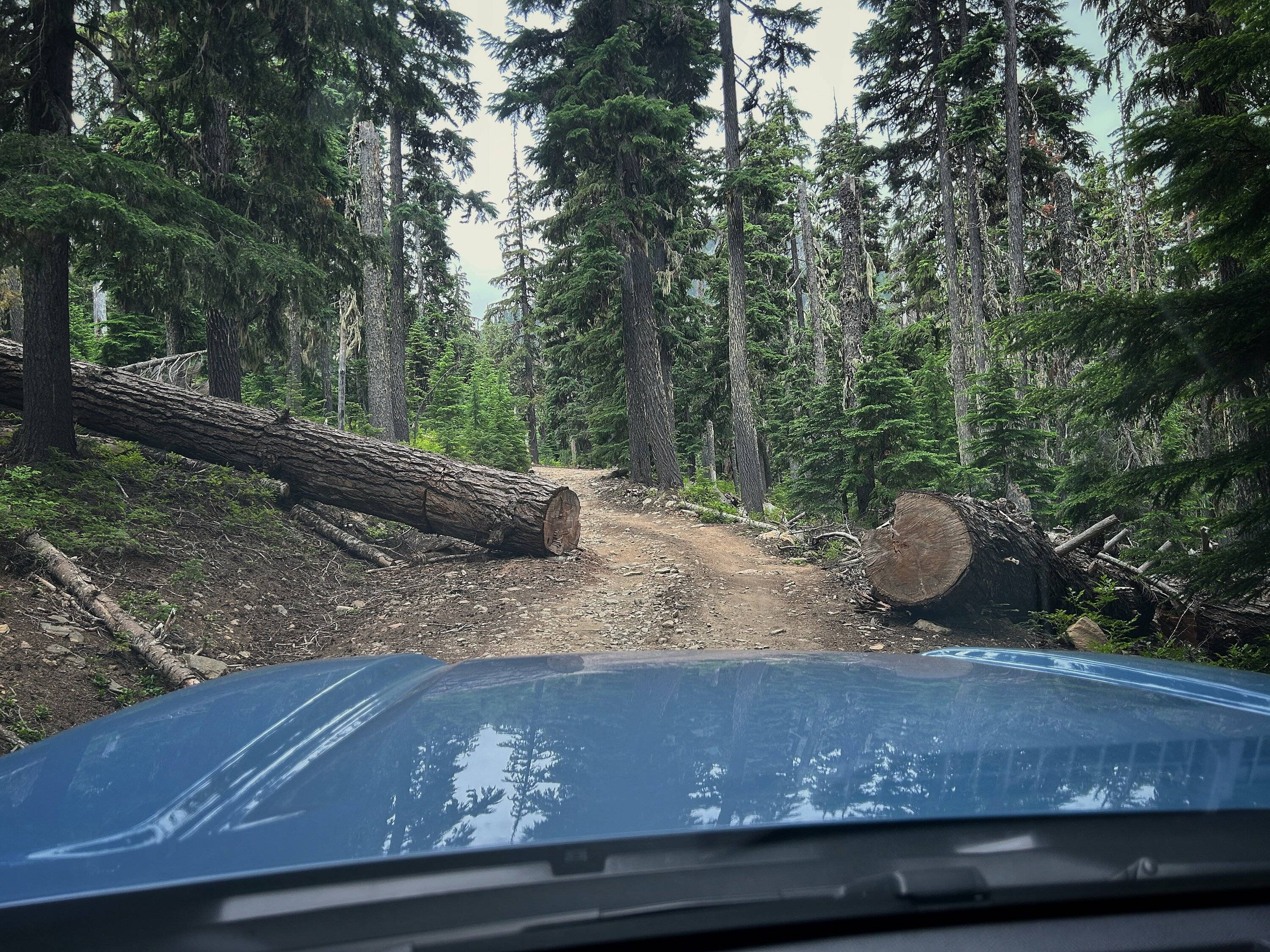 2025 4runner 6th gen Washington trail photos IMG_7332