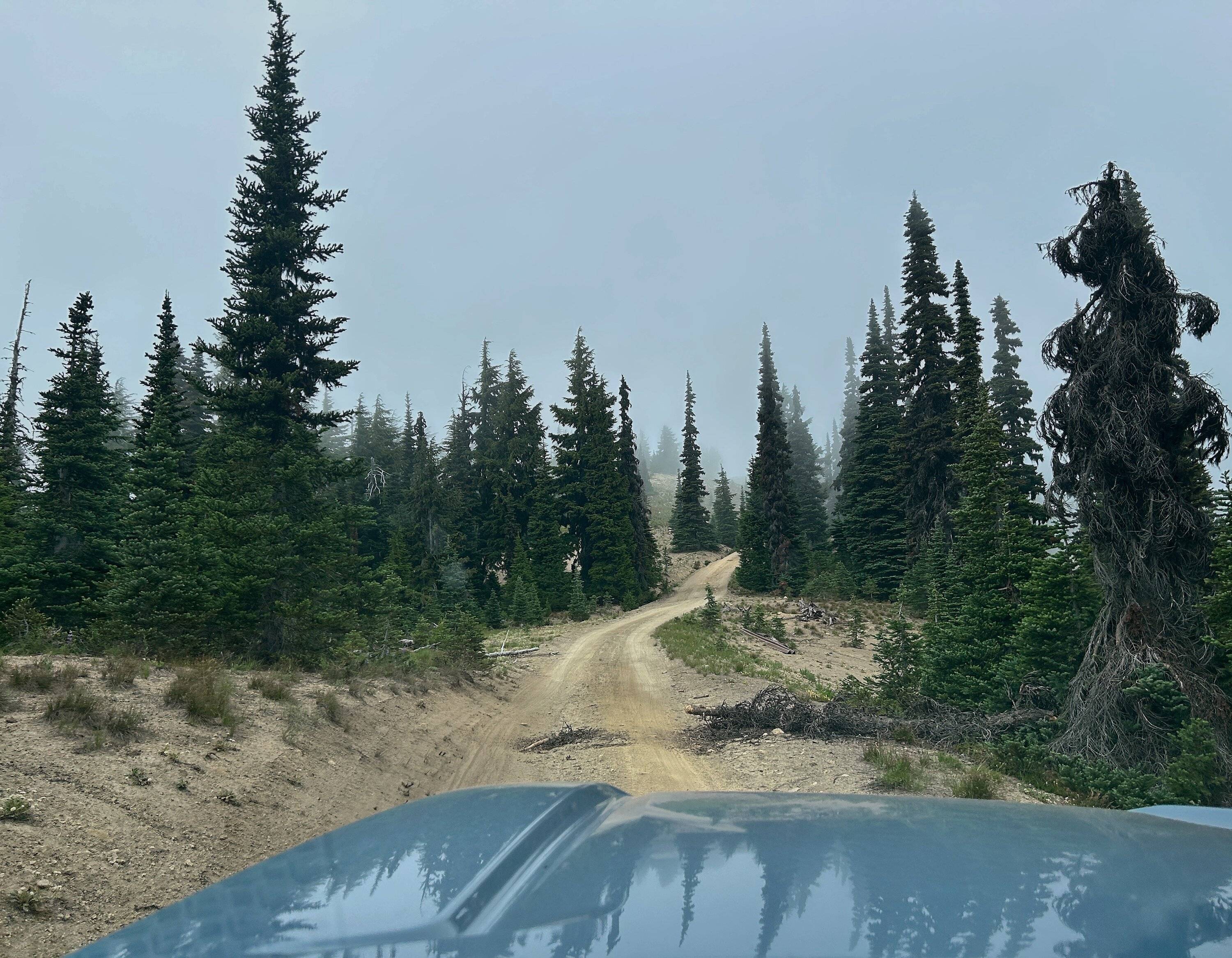 2025 4runner 6th gen Washington trail photos IMG_7338