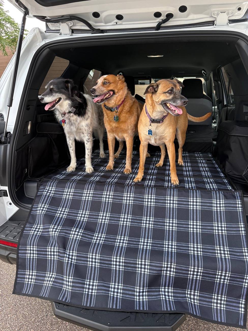 2025 4runner 6th gen Cargo Liner Recommendations IMG_5989