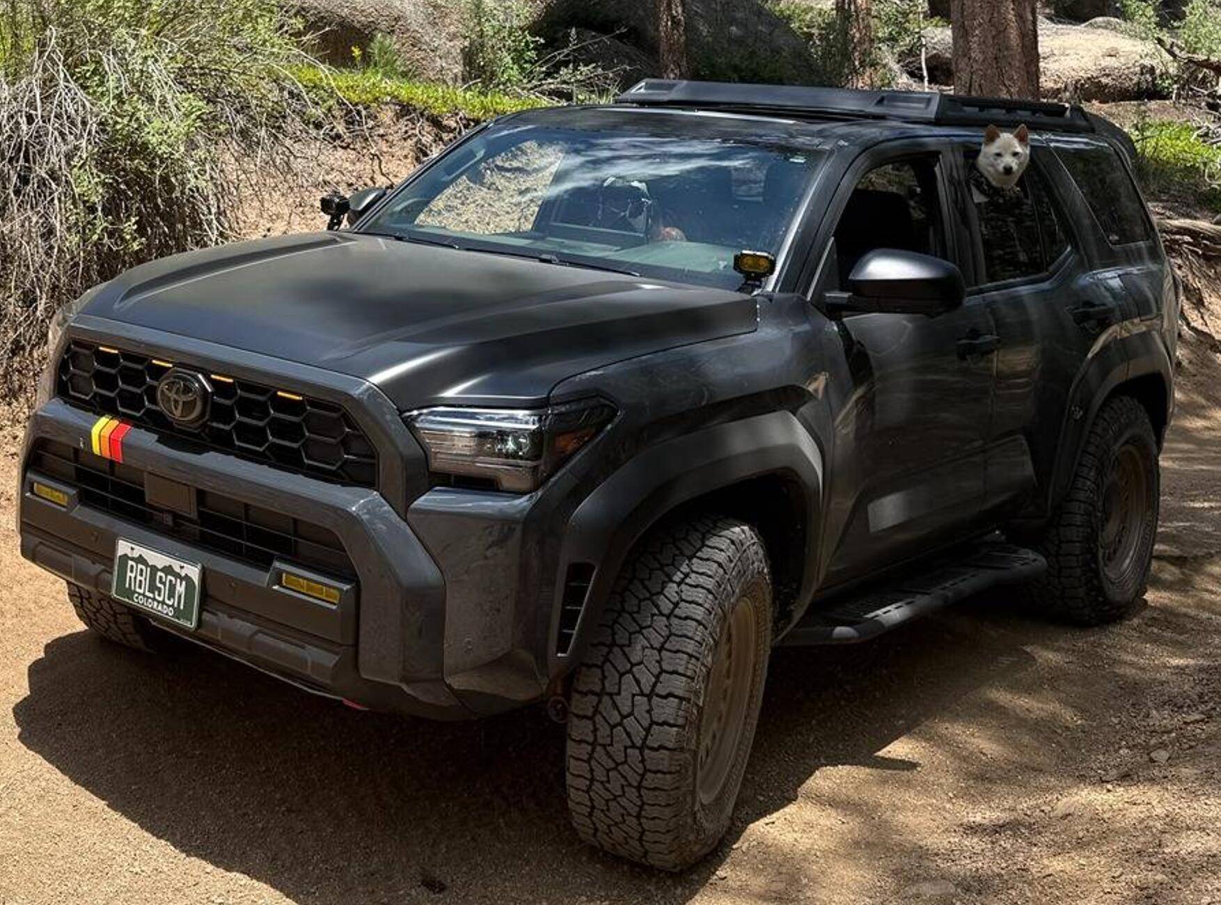 2025 4runner 6th gen Dogs / Pets ride-along photos thread! 🐾 Screenshot 2025-07-16 at 9.08.57 AM