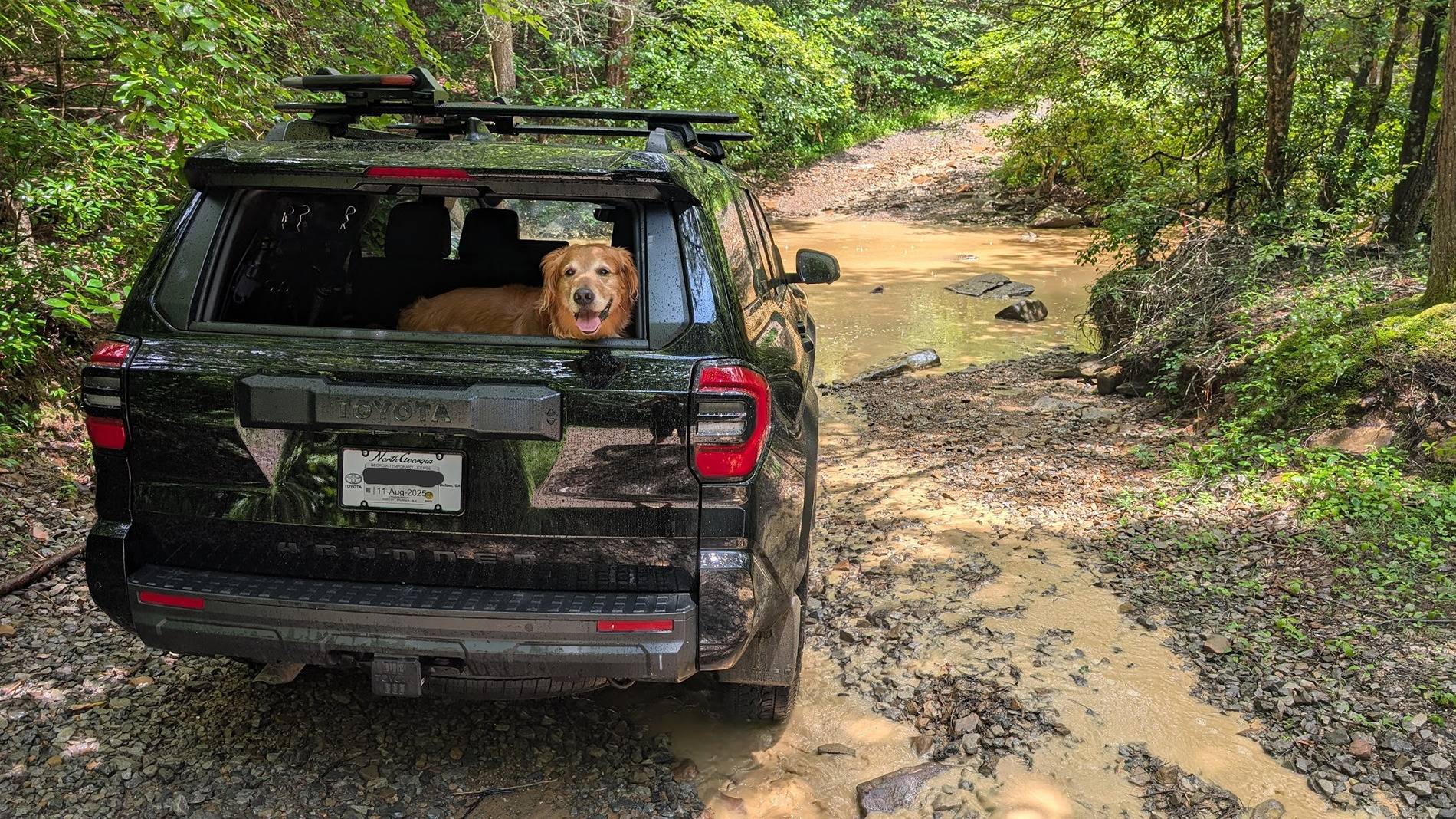 2025 4runner 6th gen Dogs / Pets ride-along photos thread! 🐾 PXL_20250713_183403873-EDIT