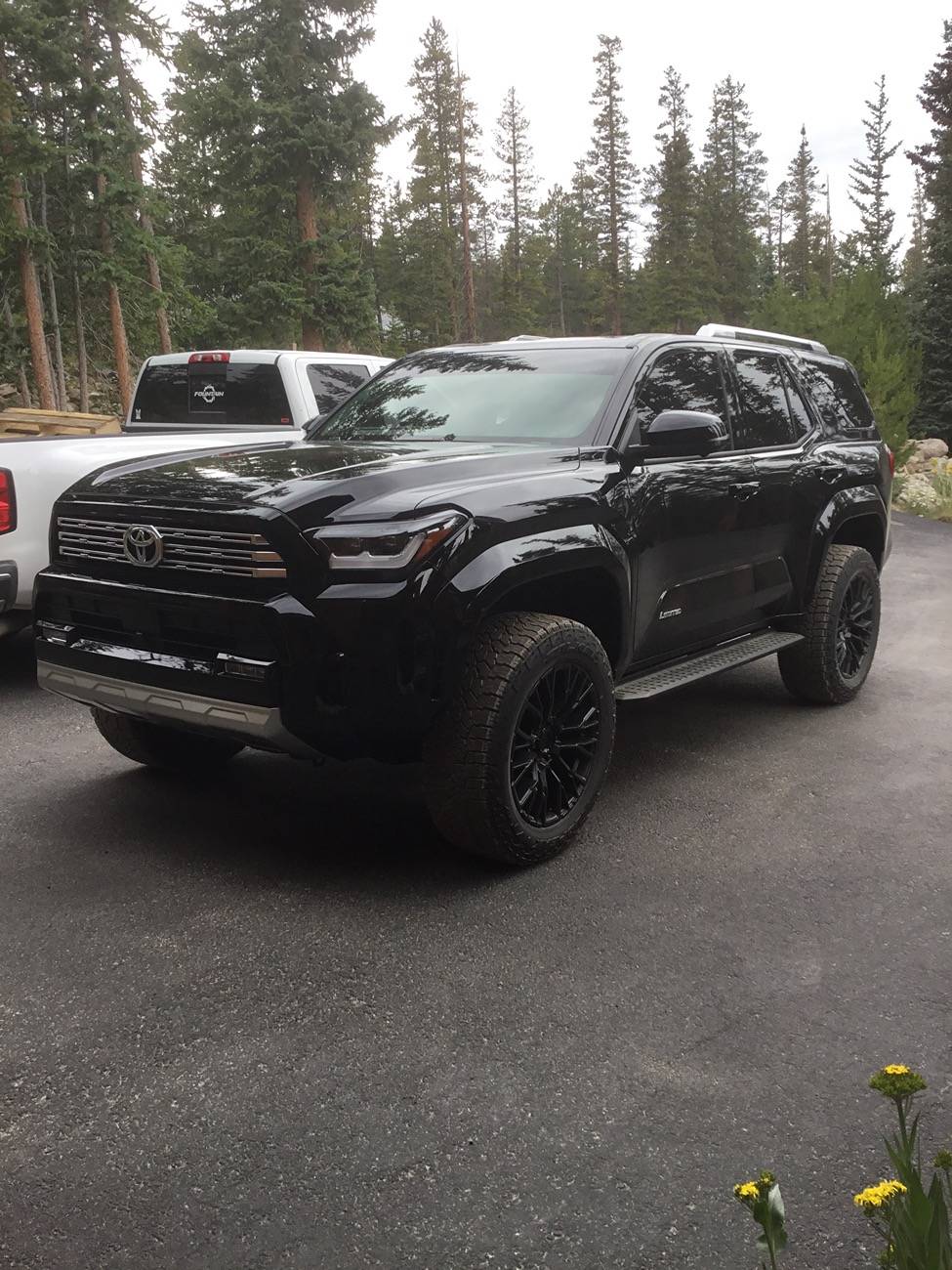 2025 4runner 6th gen Limited on Westcott Leveling 2.5” Front 1” Rear, Fuel Rebar +19 Offset, Falken Wildpeak AT4 275/60/20 SL. IMG_0353