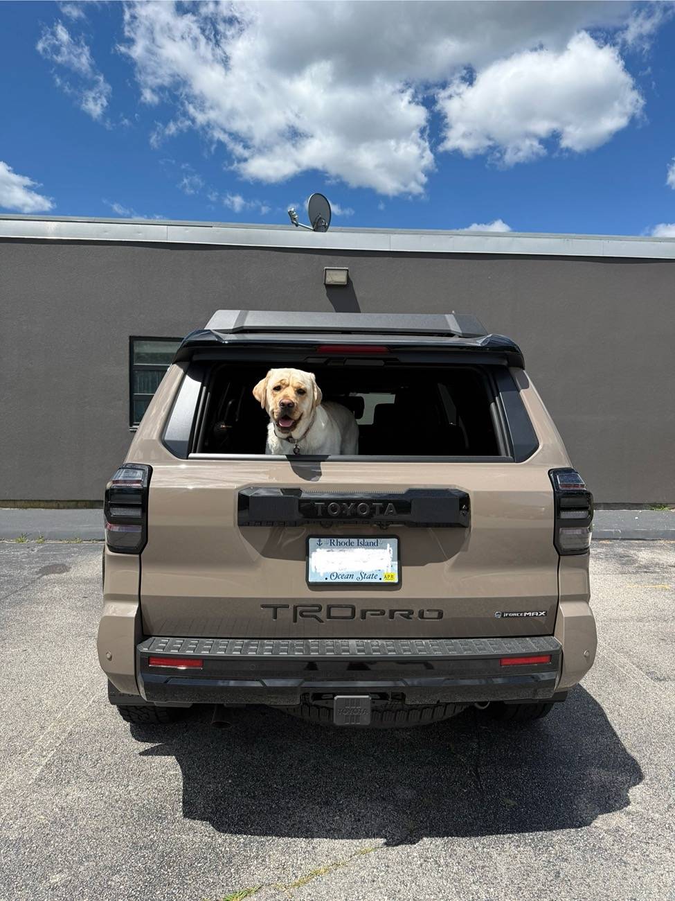 2025 4runner 6th gen Dogs / Pets ride-along photos thread! 🐾 IMG_2482