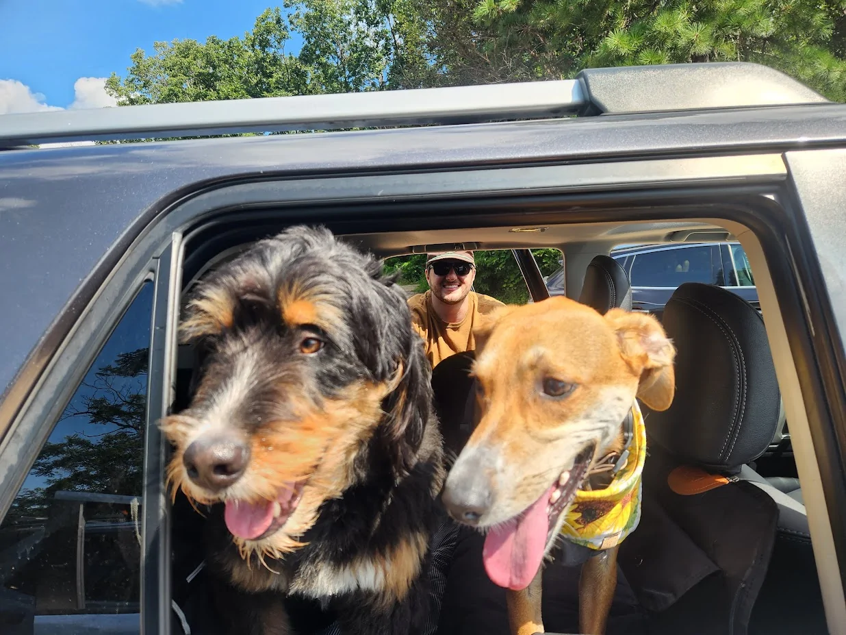 2025 4runner 6th gen Dogs / Pets ride-along photos thread! 🐾 20250803_105827