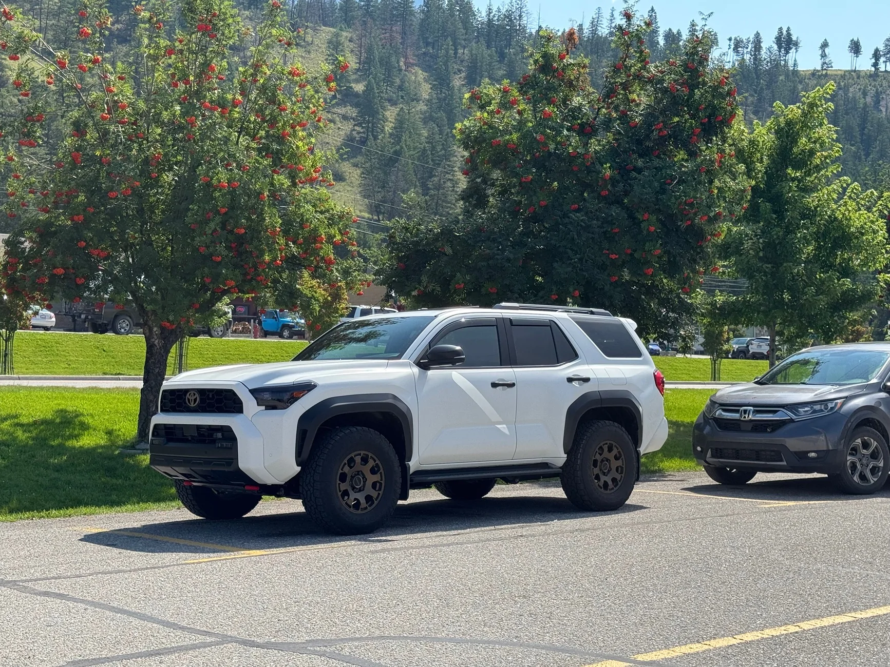 2025 4runner 6th gen Stormtrooper by Van-Solo (TRD Off Road Hybrid) IMG_1716