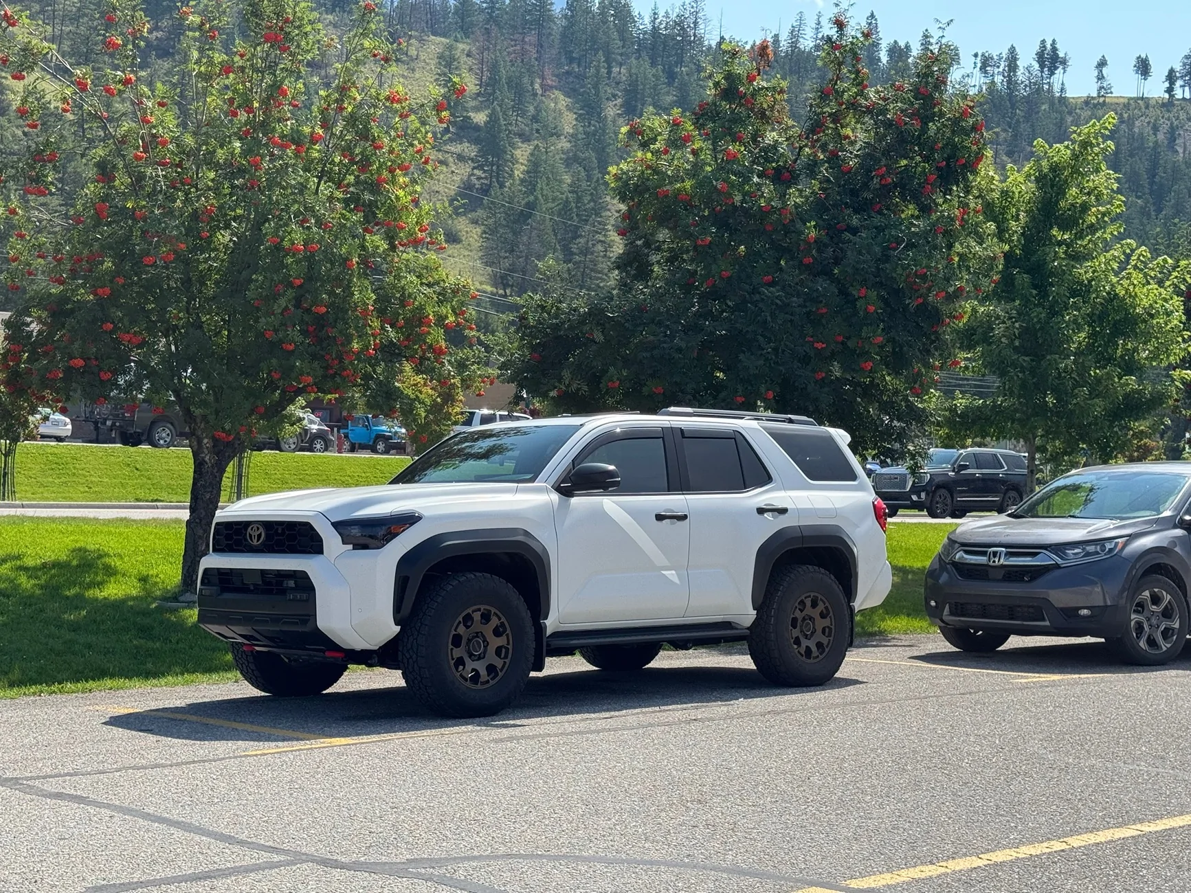 2025 4runner 6th gen Stormtrooper by Van-Solo (TRD Off Road Hybrid) IMG_1715