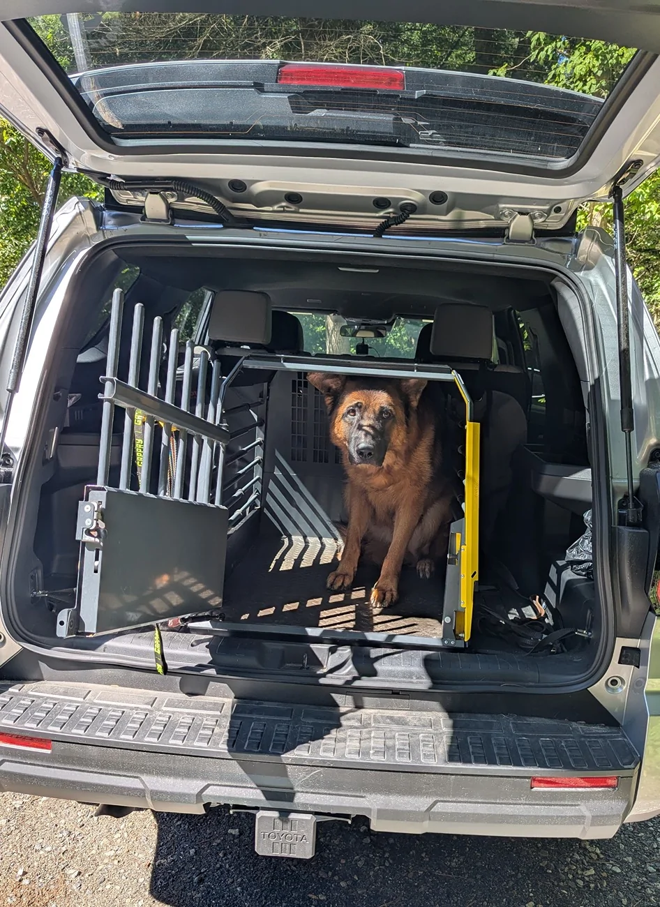2025 4runner 6th gen Dog Crates for Goldens in TRD OffRoad Premium Hybrid PXL_20250719_142815565