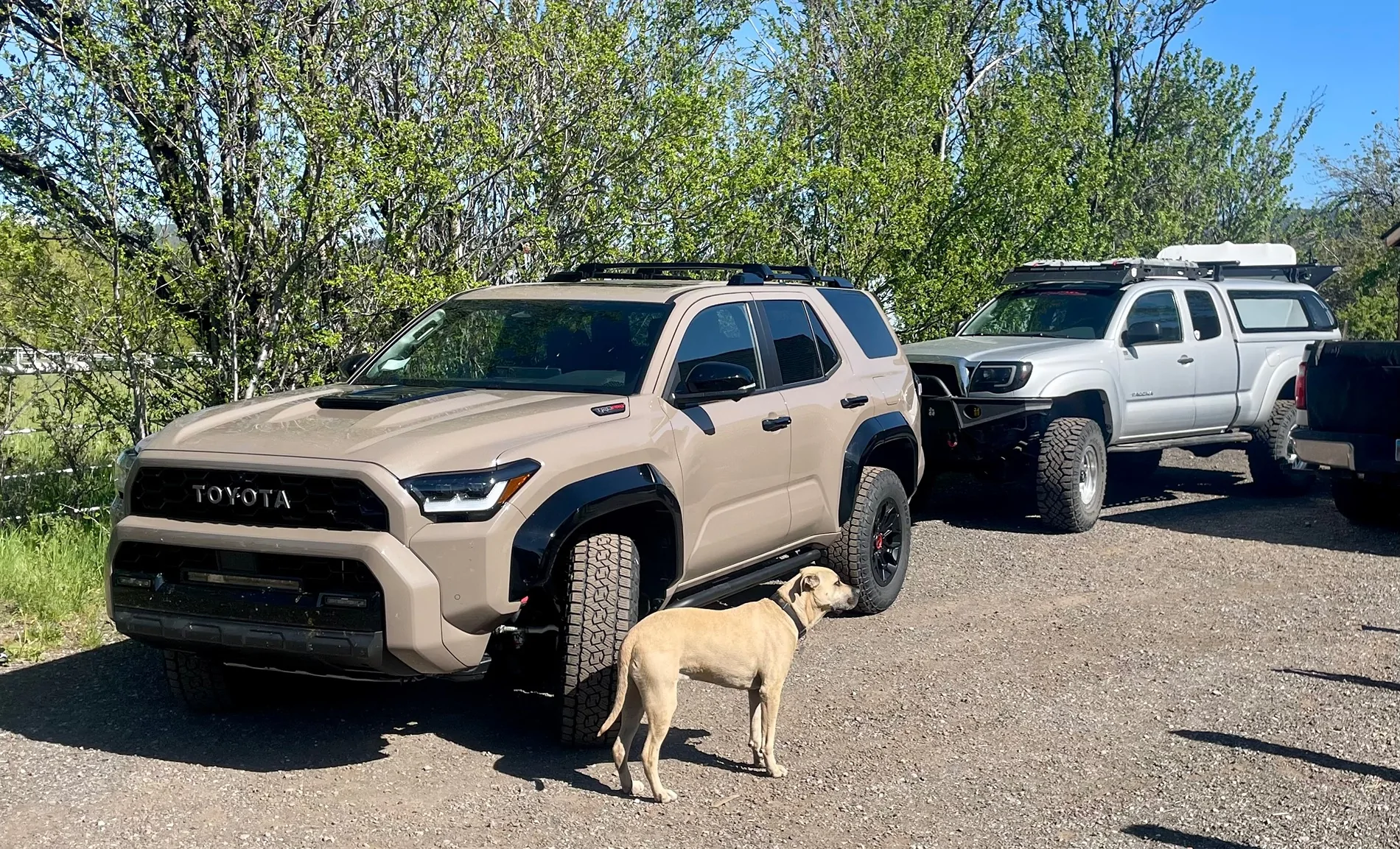 2025 4runner 6th gen 3 month update of 2025 TRD Pro IMG_4924