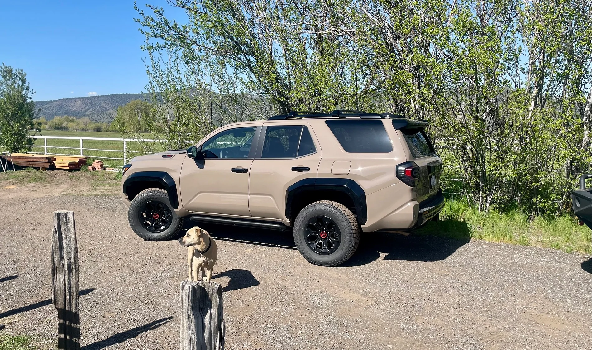 2025 4runner 6th gen 3 month update of 2025 TRD Pro IMG_4925
