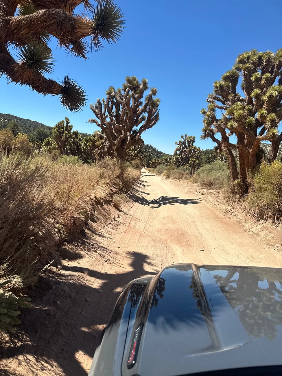 2025 4runner 6th gen Pioneertown / Burns Canyon / Big Bear IMG_6941