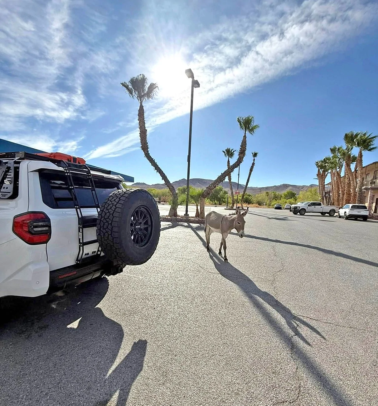 2025 4runner 6th gen My 2025 4Runner ORP built by Westcott Designs Westcott 2025 4runner 6th gen build 3