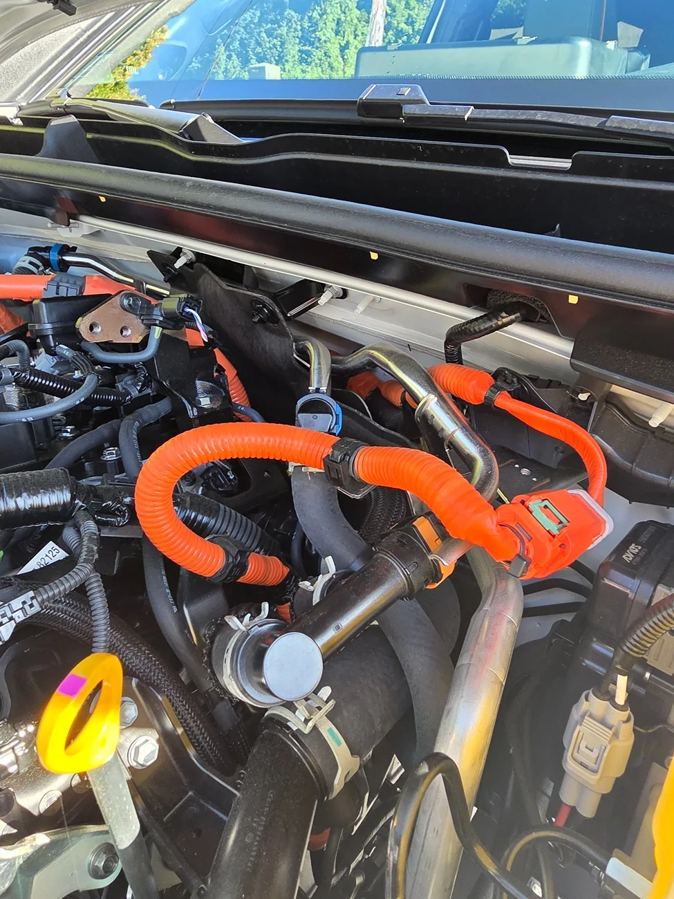 2025 4runner 6th gen Odd rattle on driver's side - can't tell where it's from. 20250828_085046