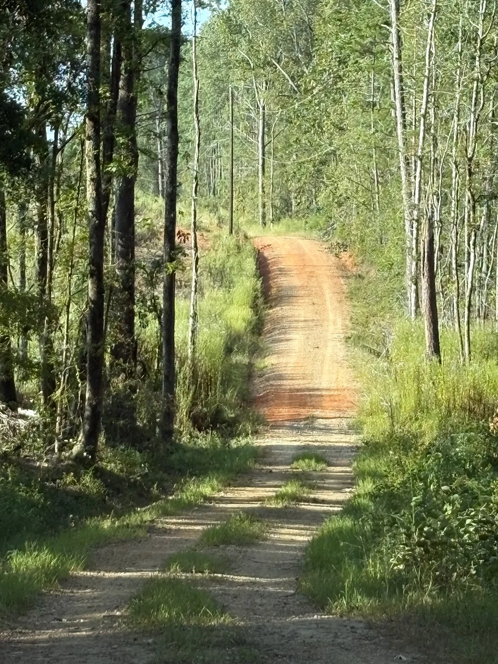 2025 4runner 6th gen What did you do to your 6th Gen 4Runner today?? 👨🏻‍🔧 🧰 🛠 IMG_0725