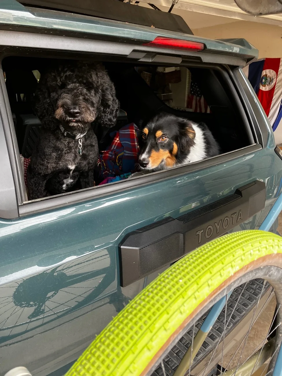 2025 4runner 6th gen Dogs / Pets ride-along photos thread! 🐾 IMG_4747