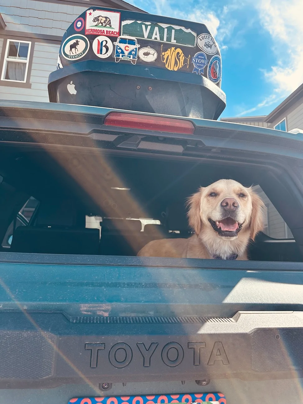 2025 4runner 6th gen Dogs / Pets ride-along photos thread! 🐾 FurRunner1