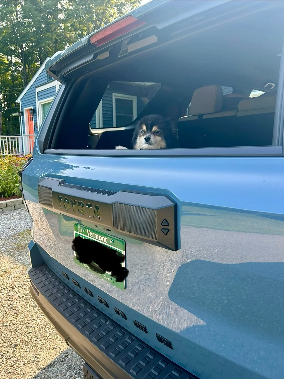 2025 4runner 6th gen Dogs / Pets ride-along photos thread! 🐾 IMG_0004