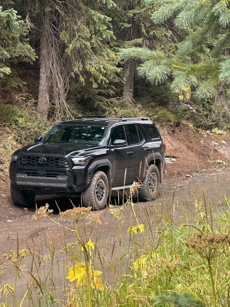 2025 4runner 6th gen Rock Chips - Beware - IMG_4722