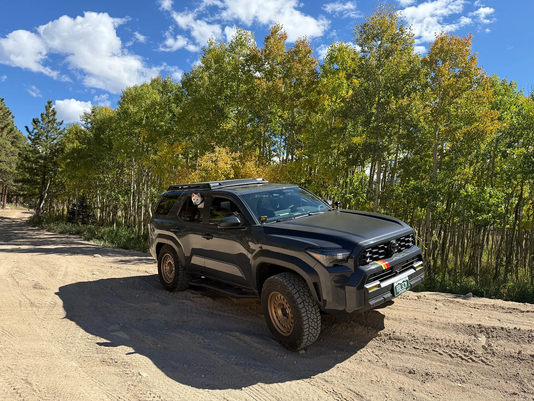 2025 4runner 6th gen RELLIMS build thread (Full List) - Off Road Premium (Underground) IMG_9338