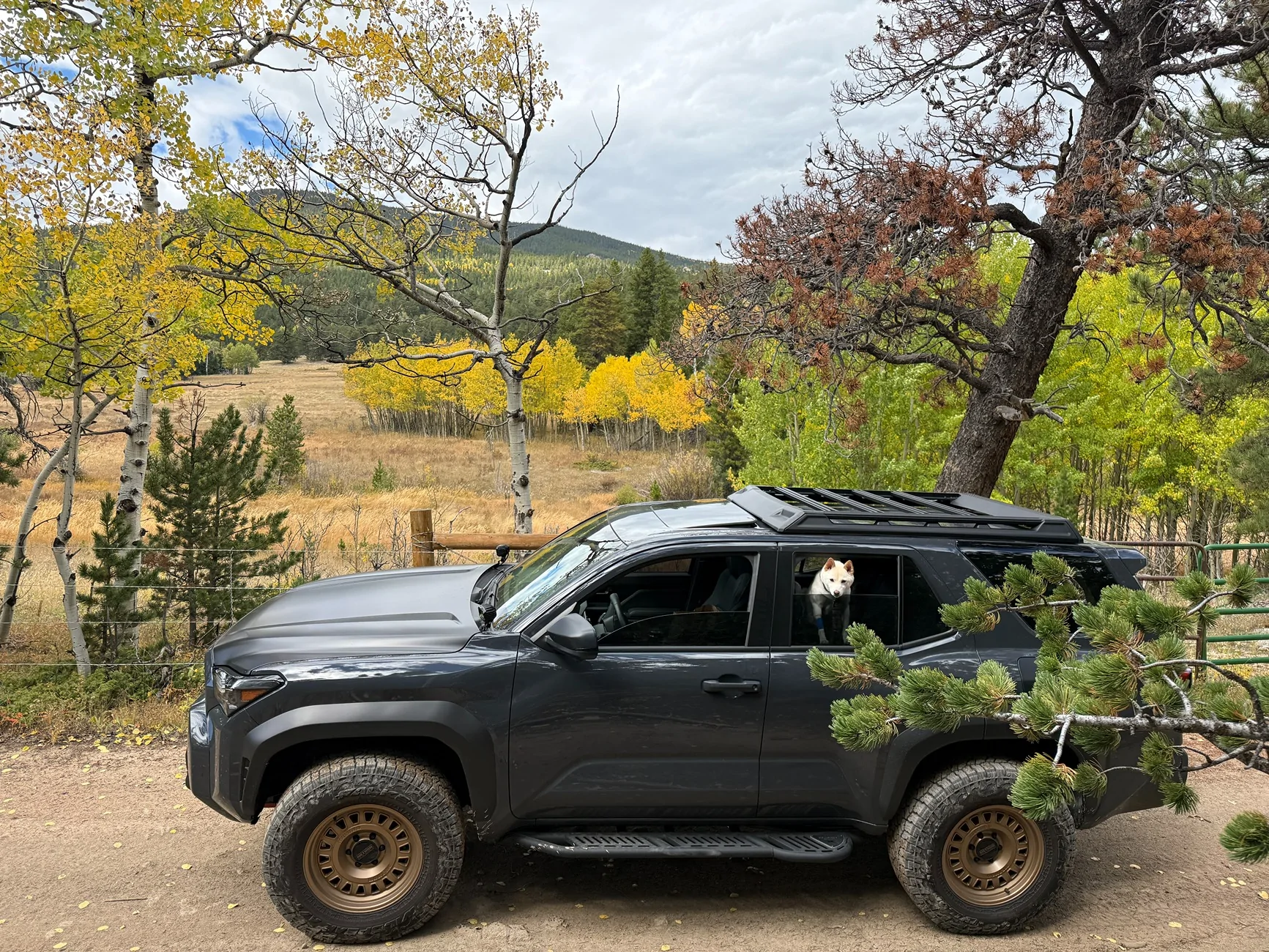 2025 4runner 6th gen RELLIMS build thread (Full List) - Off Road Premium (Underground) IMG_9341