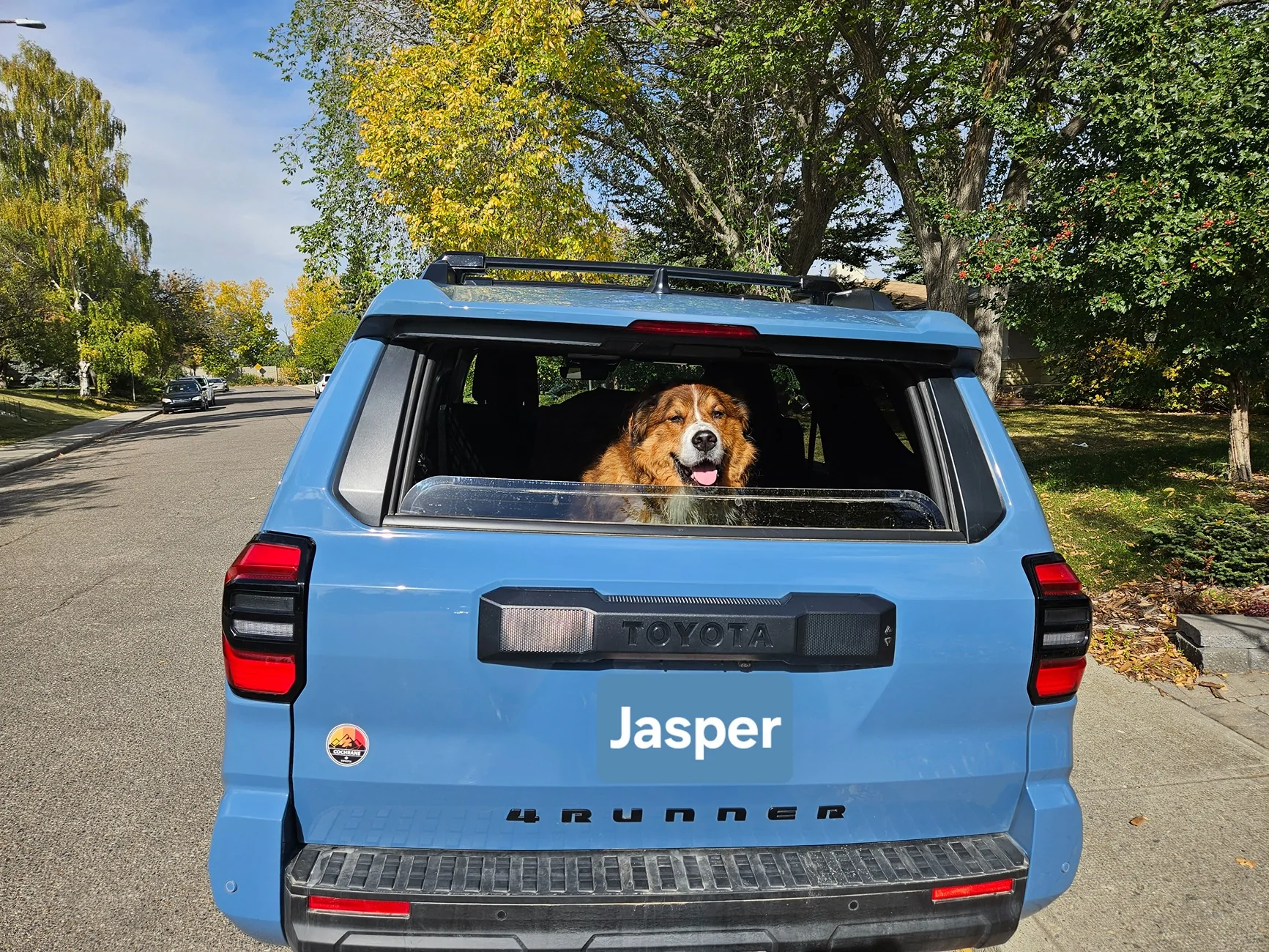 2025 4runner 6th gen Dogs / Pets ride-along photos thread! 🐾 20250929_134522