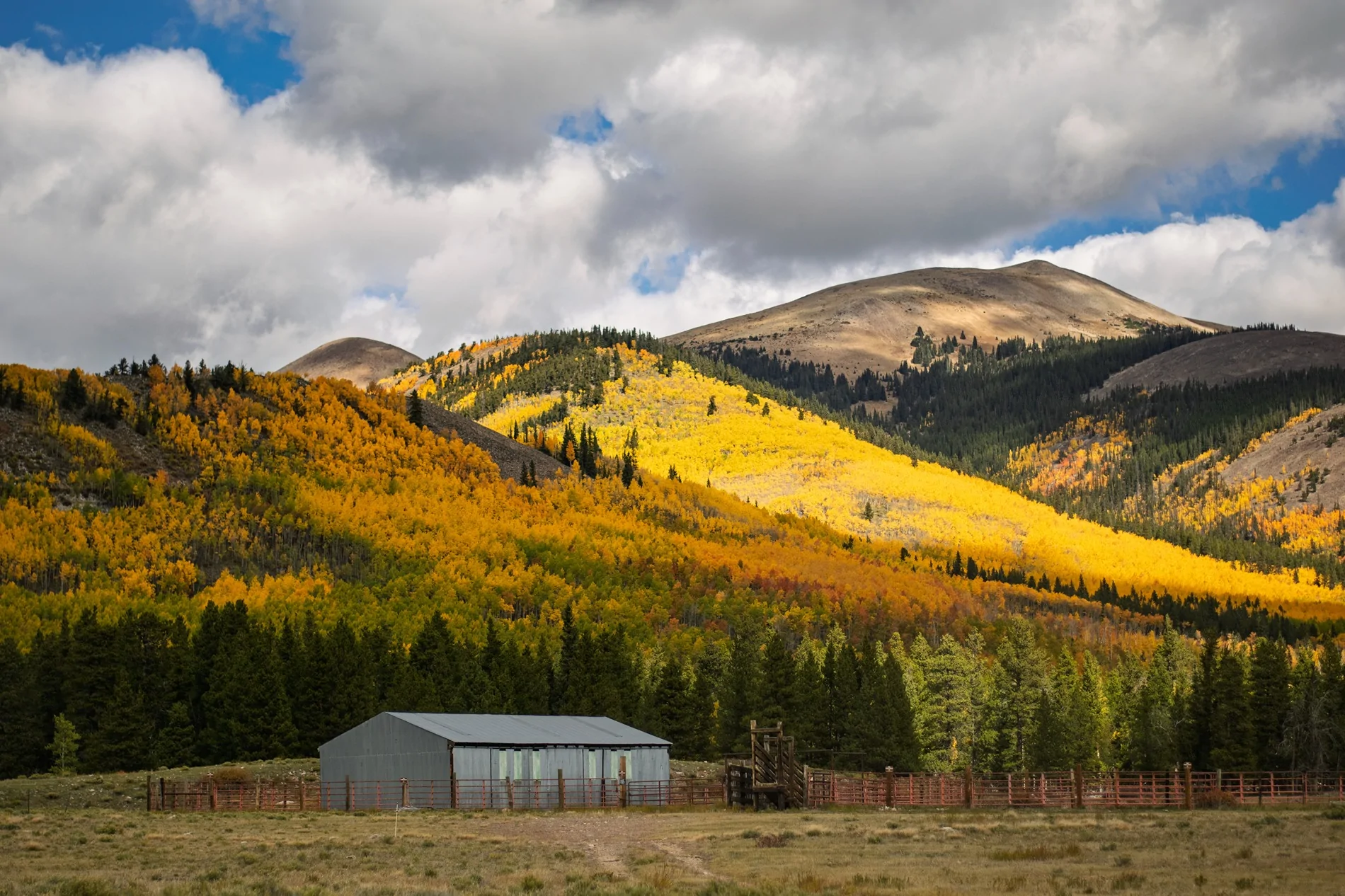2025 4runner 6th gen 2000+ Mile Road Trip - STL, MO ➡️ Dillon, CO DSC_0665