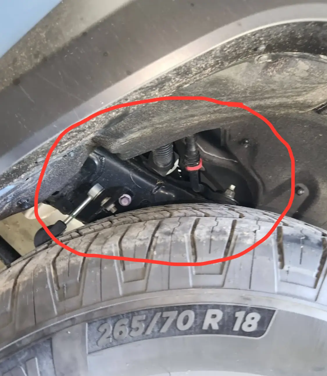 2025 4runner 6th gen ARK rear splash guards for rear fender wells - installed photos 1759428986564-fo