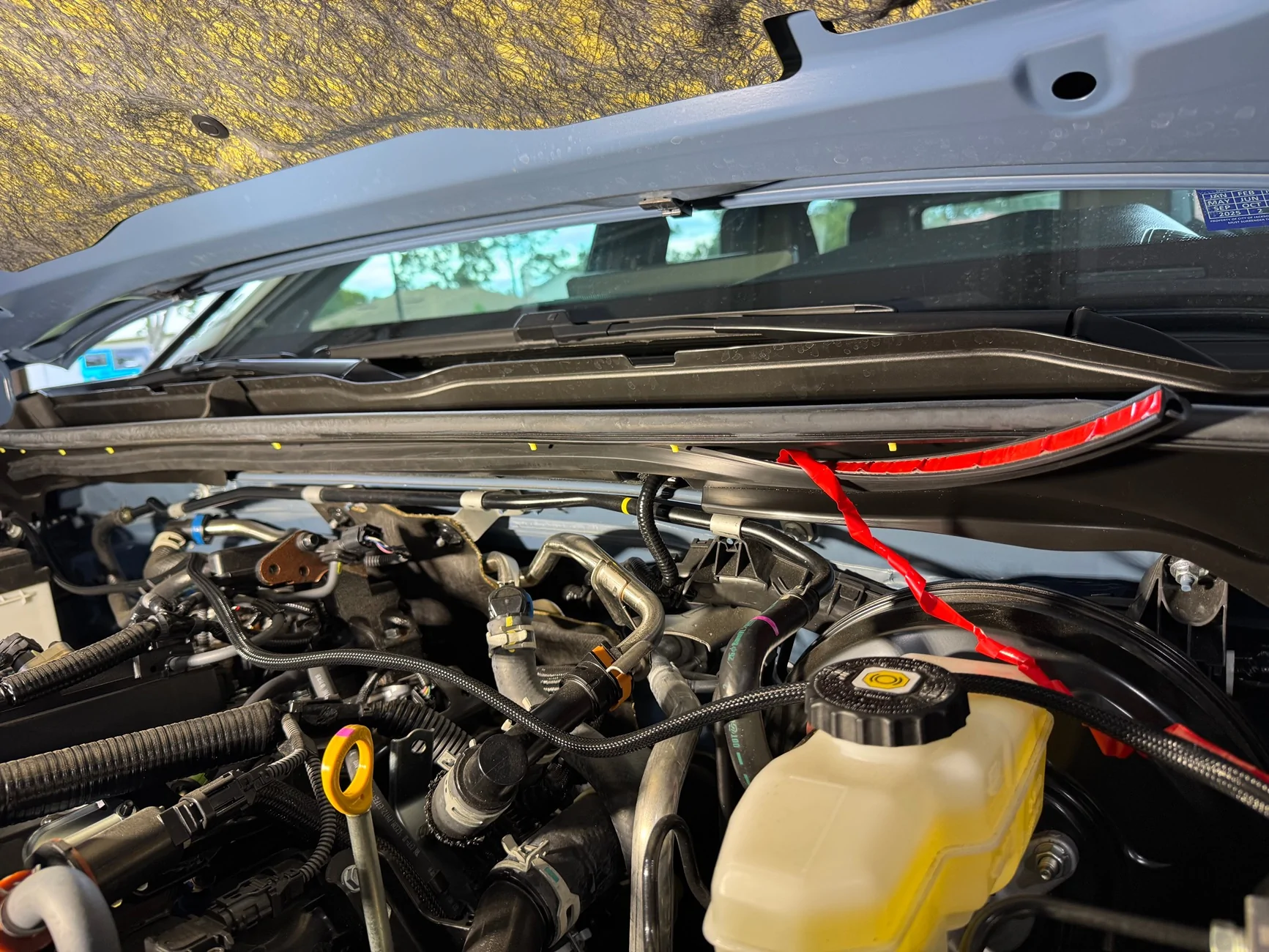 2025 4runner 6th gen Diode Dynamics D-Switch (installed) IMG_1388