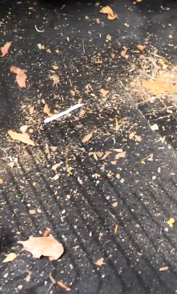 2025 4runner 6th gen Where Does Your Car Need Cleaning the Most? Introducing Wolfbox Air Duster MF200 🚗 1280X1280