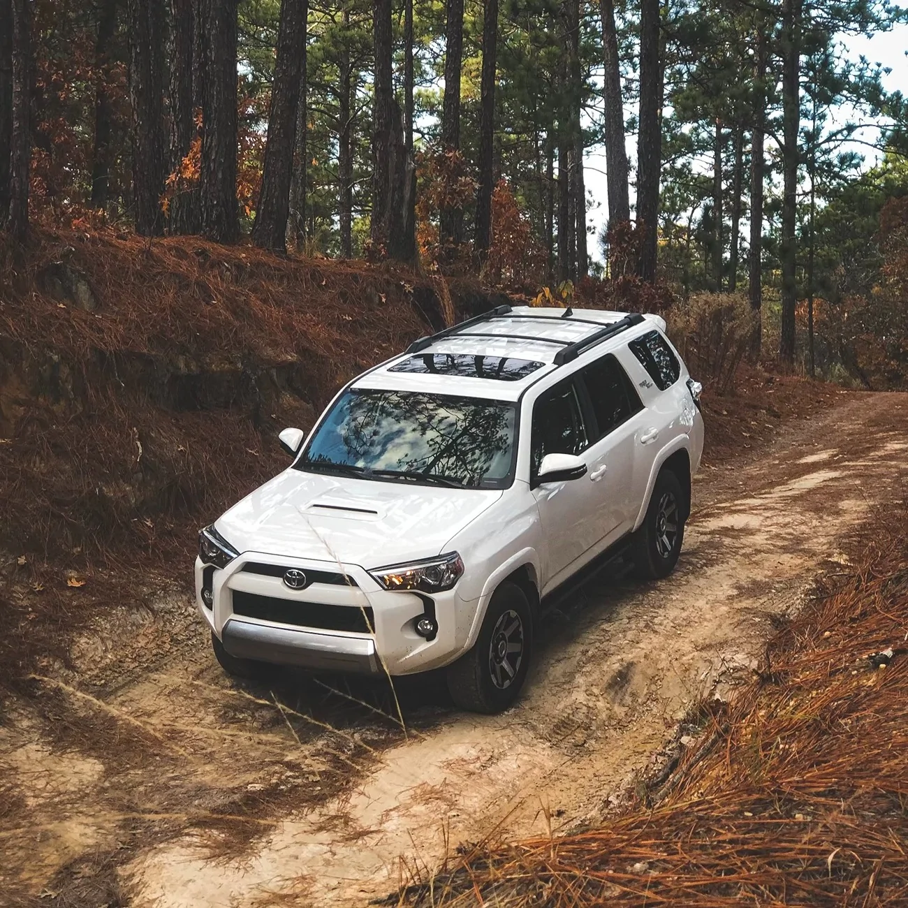 2025 4runner 6th gen Mudbath Mania - I tuned both of my new vehicles with OTT in the dealership parking lot (and why I'd do it again) IMG_3335