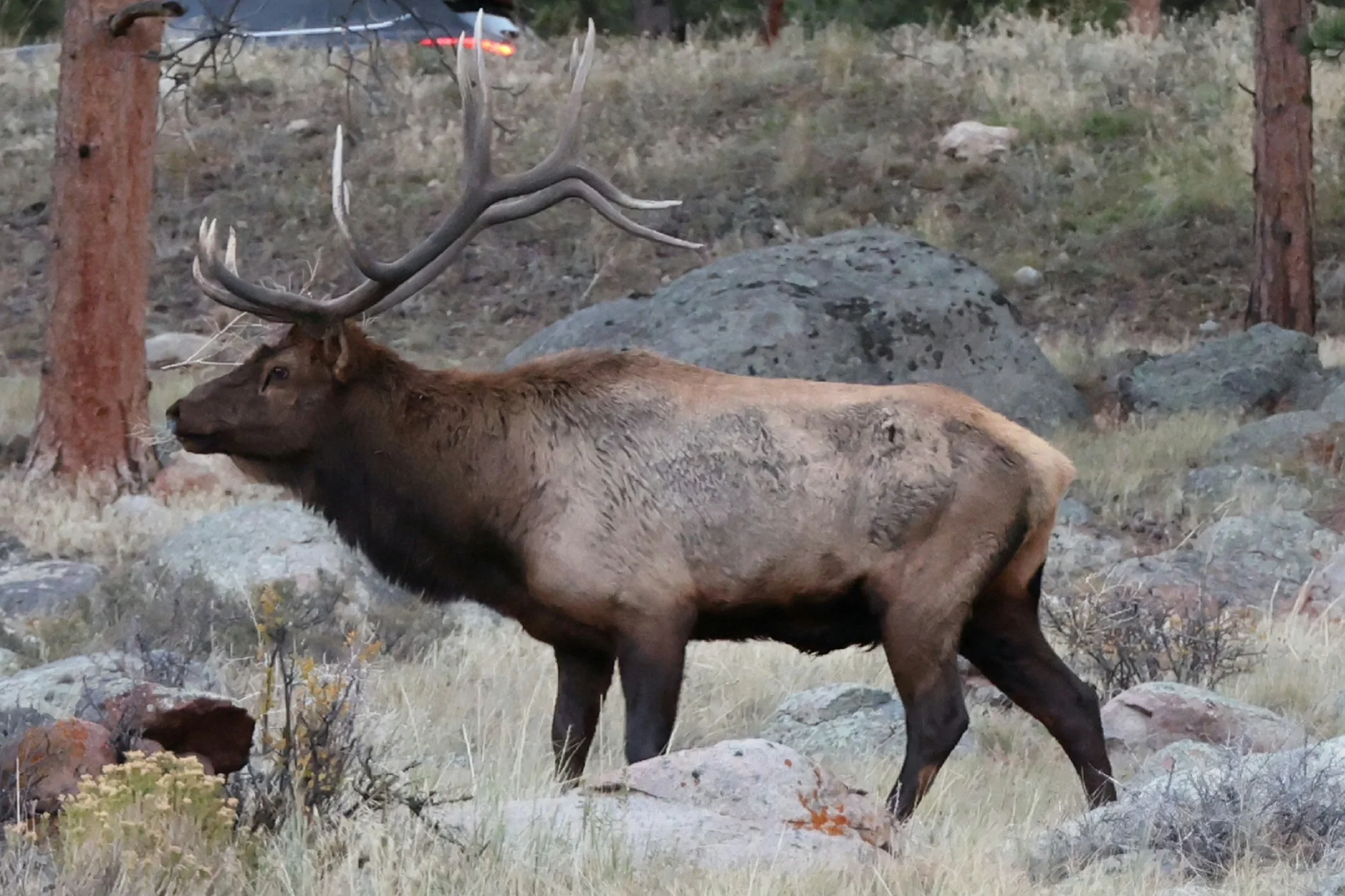 2025 4runner 6th gen First Roadtrip CO 1463fc3a-03aa-422b-a331-5886c5eb4c3e-1_all_23803